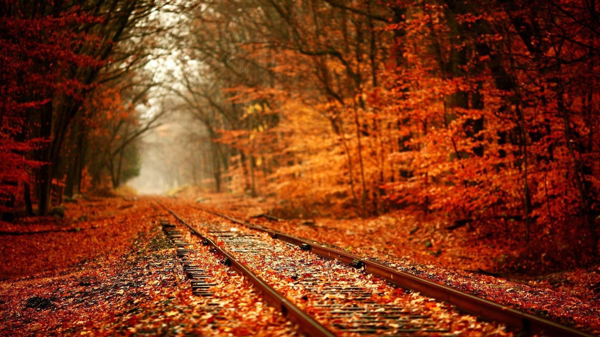 Train tracks in the fall [1920x1080]