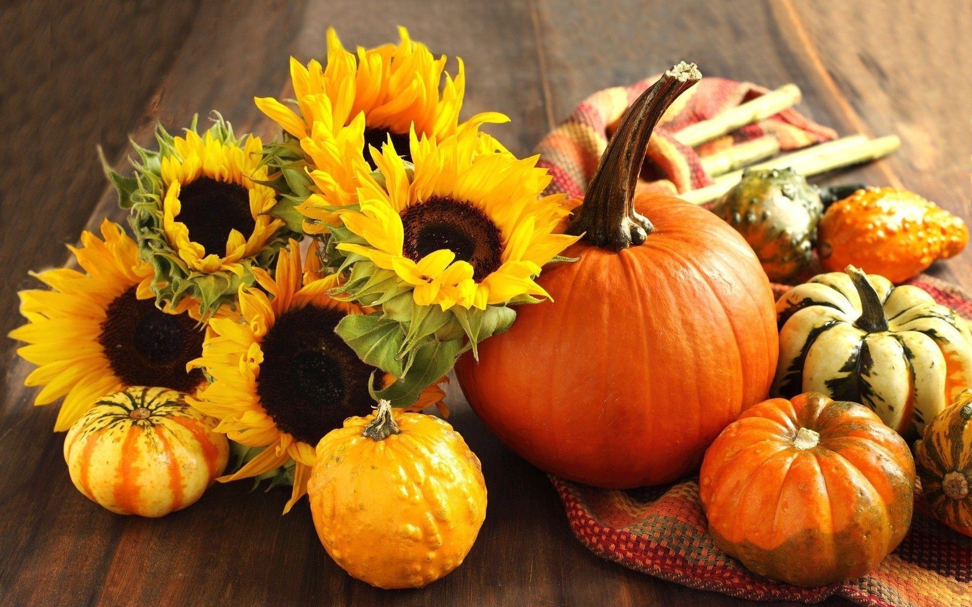 Pumpkin and Fall Flower Wallpaper at