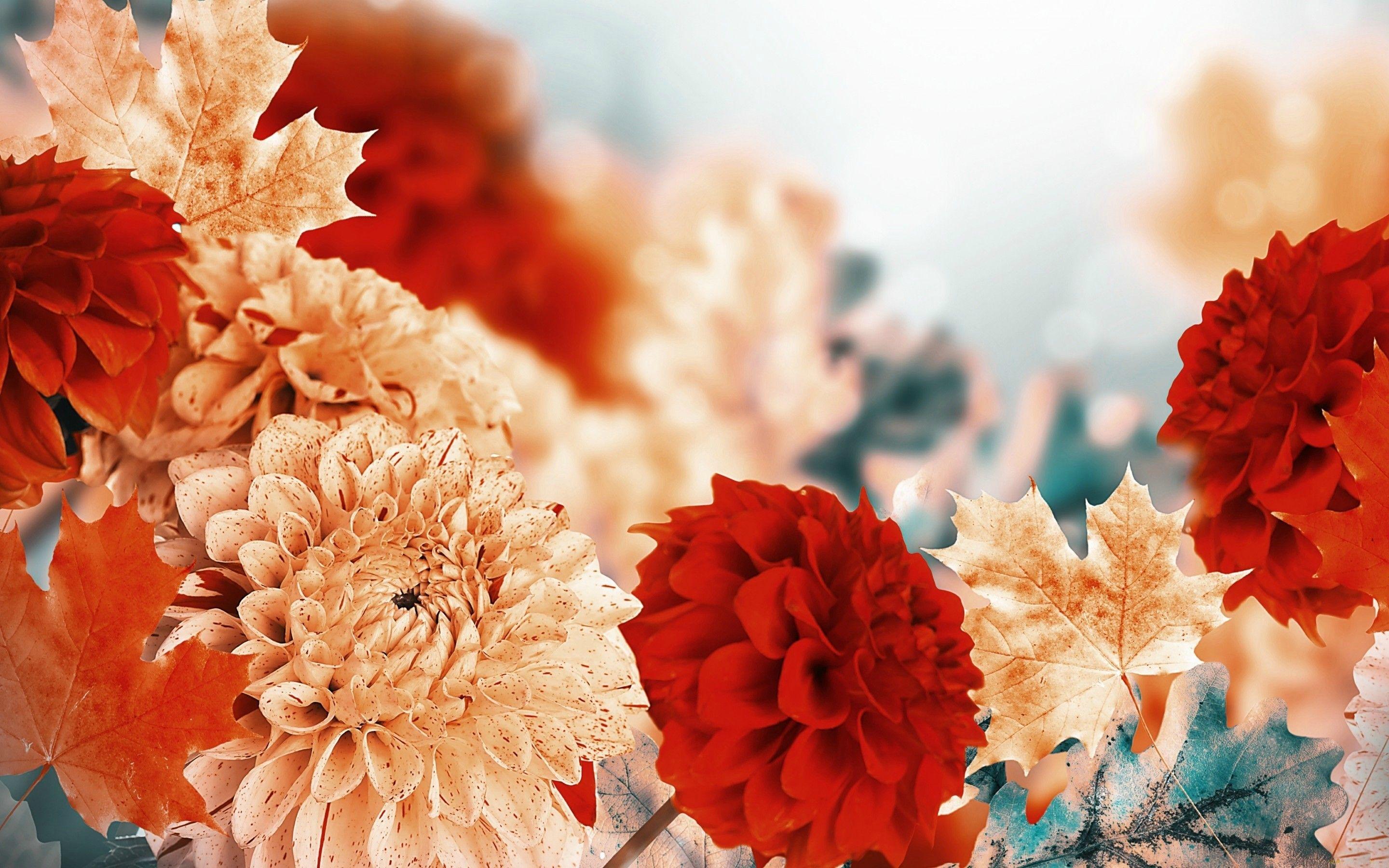 Fall Flowers Wallpaper Free Fall Flowers Background