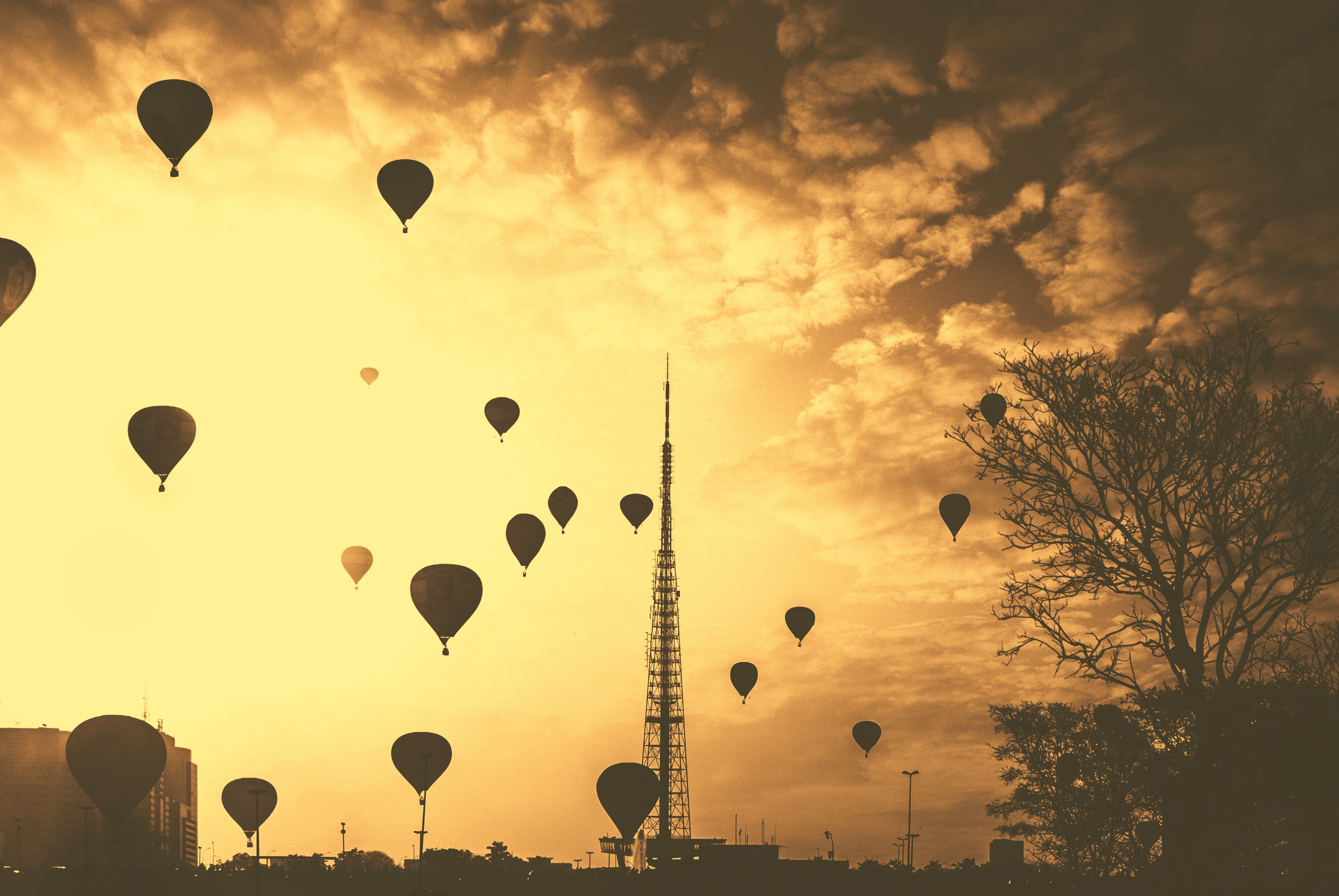 Silhouette photo of air balloons during sunset HD wallpaper