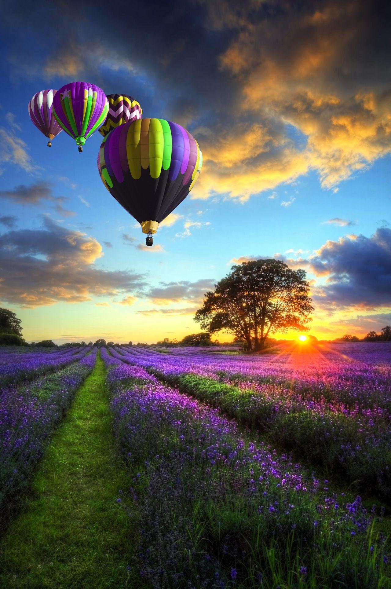 Take a hot air balloon ride over Tuscany. Wanderlust. Hot