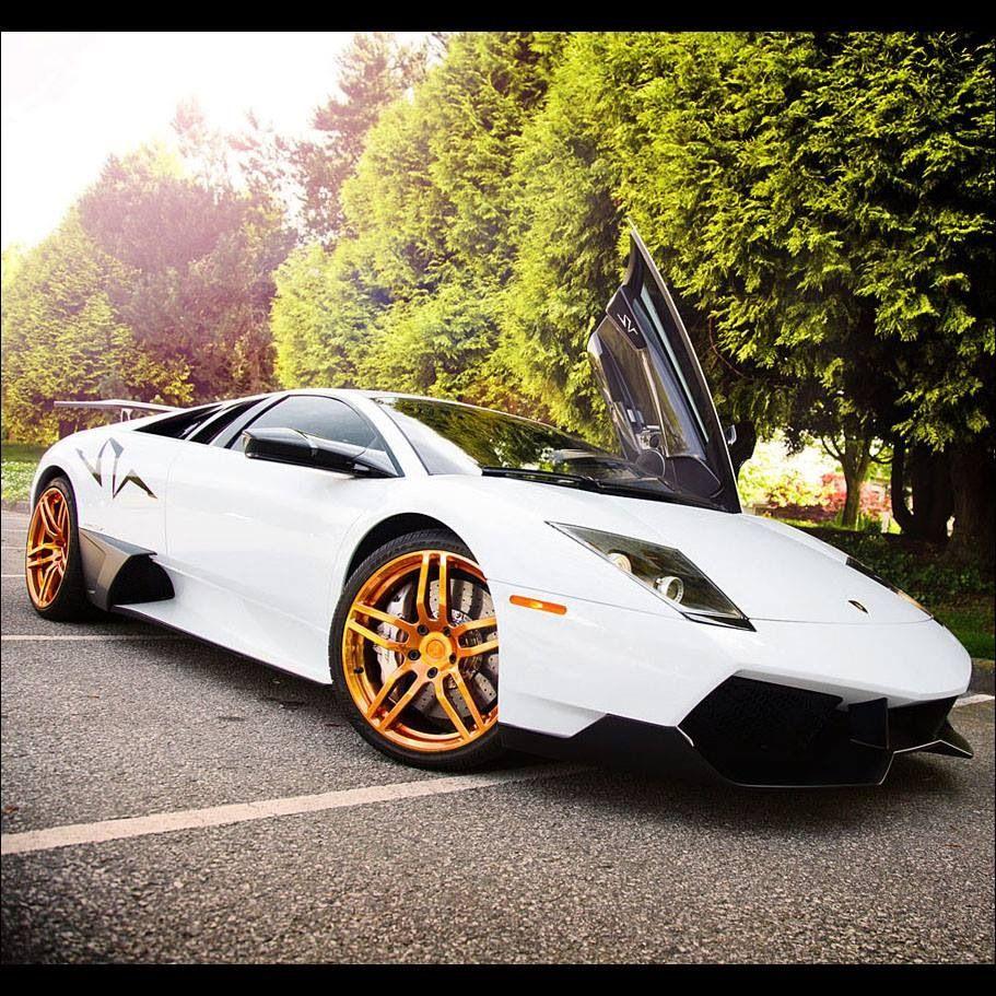 White Lambo with gold rims. Cars and Motorcycles. Sports