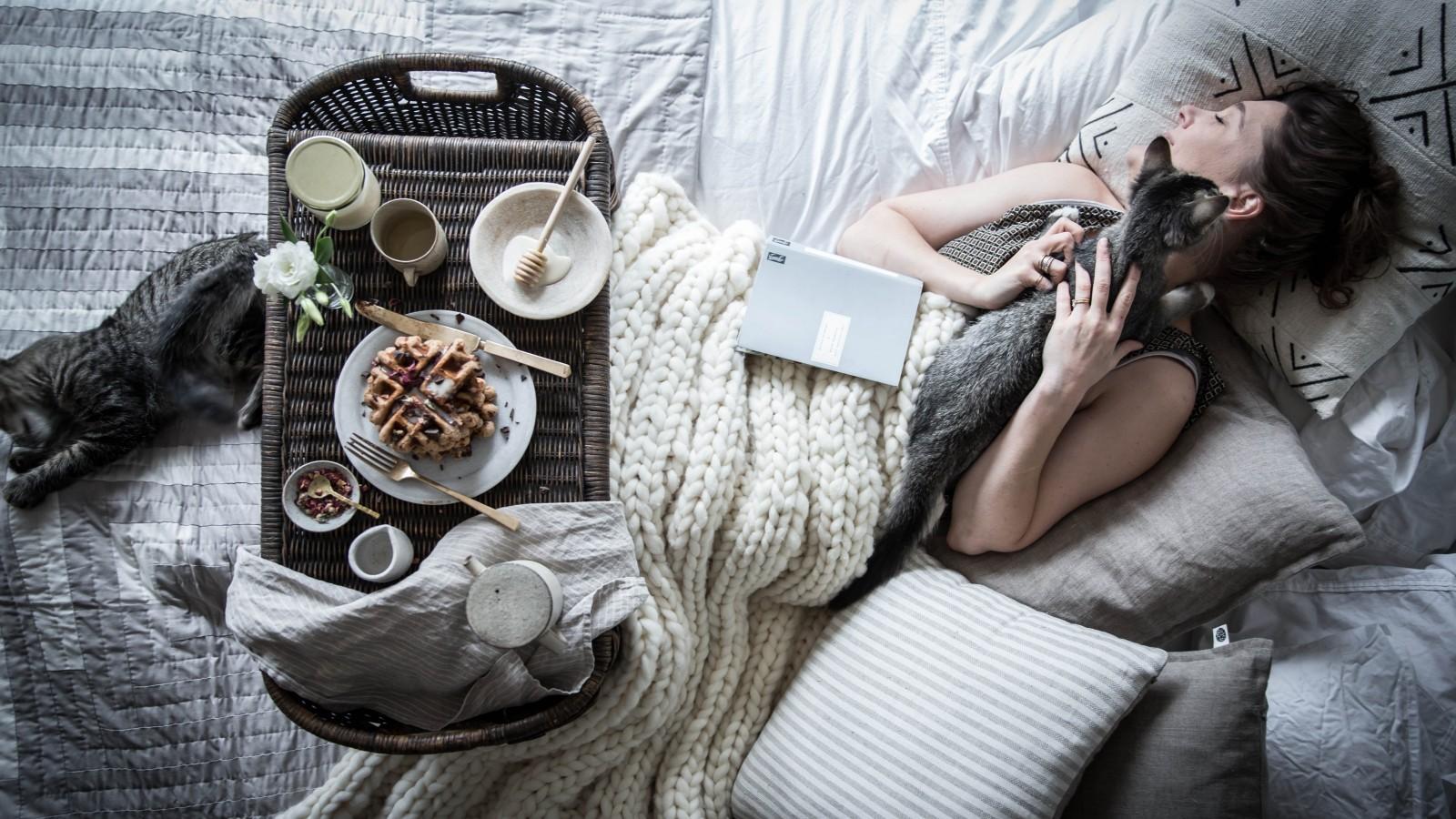 Download 1600x900 Women, Lying Down, Bed, Cats, Breakfast