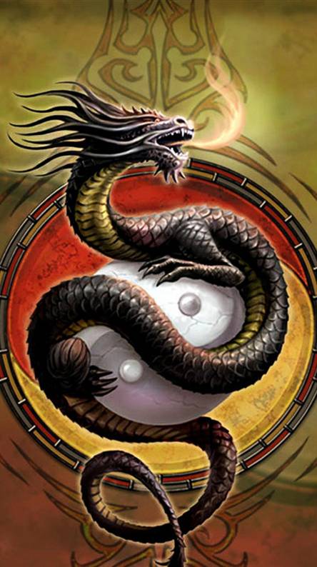 Ying yang dragons Wallpaper by ZEDGE™ Yin Yang Phone Wallpaper