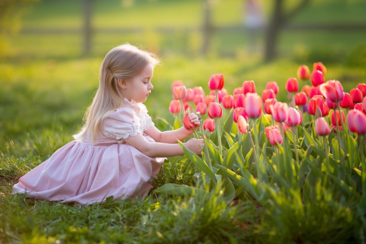 Wallpaper Little girls Blonde girl child tulip Dress