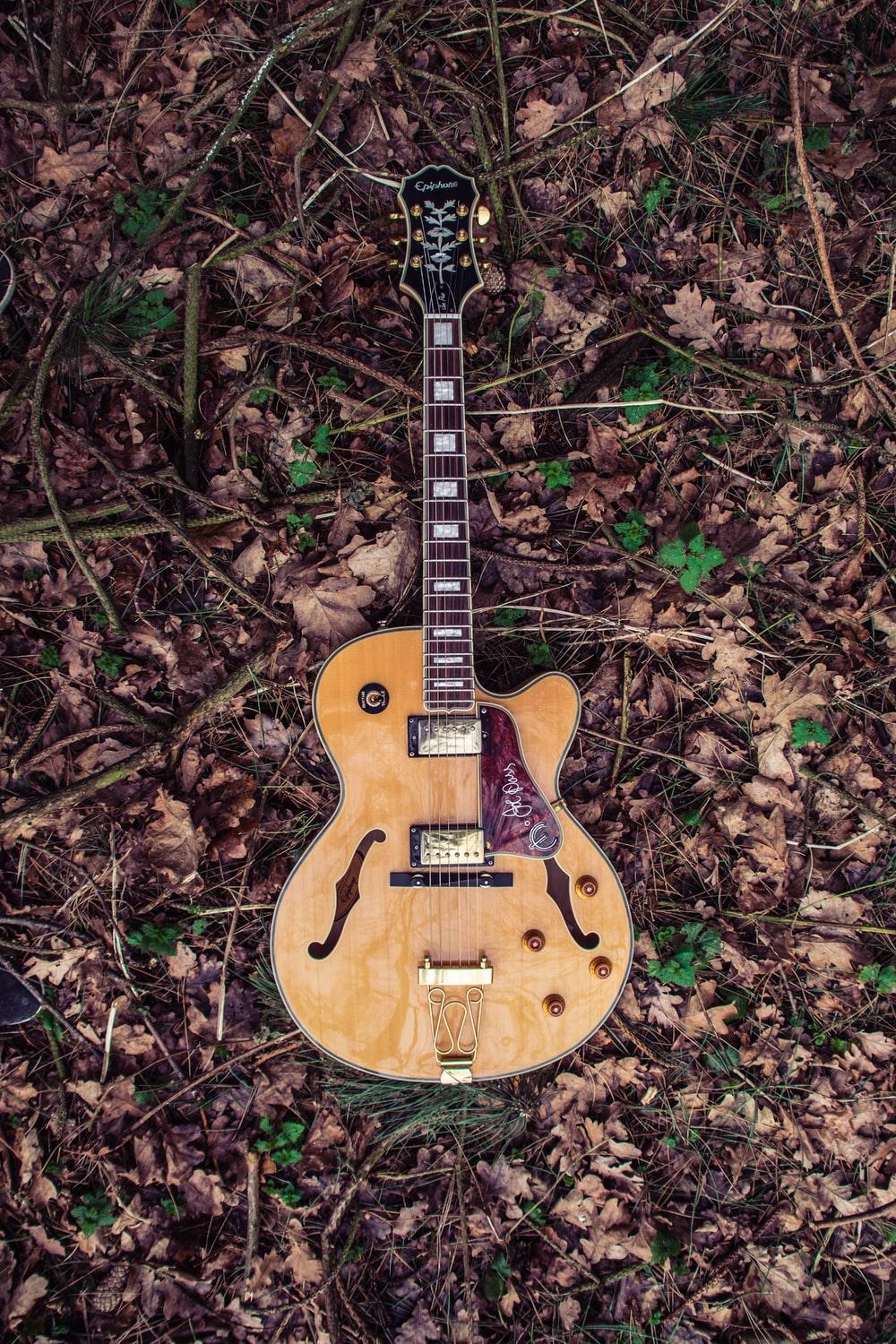 Was shooting my guitar in a forest fo
