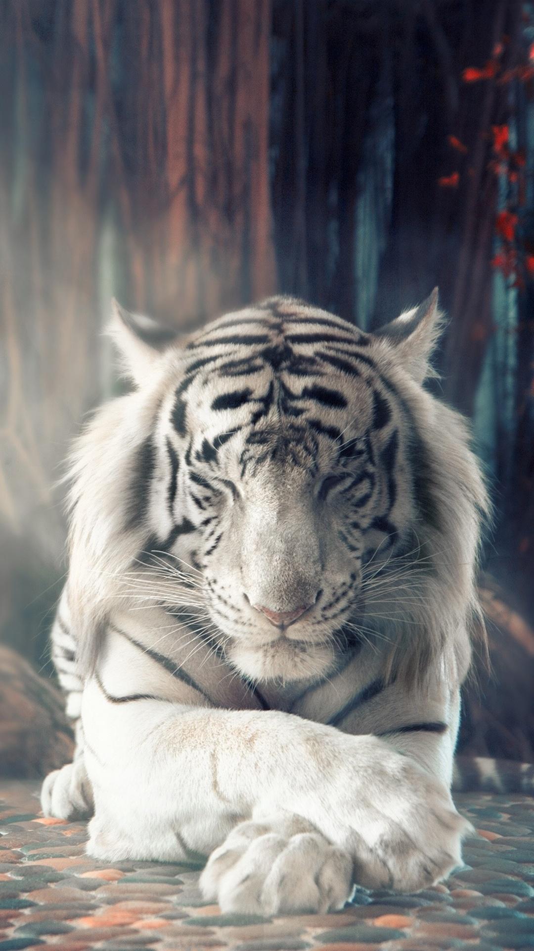 White Tiger Dreamy iPhone 6s, 6 Plus, Pixel xl