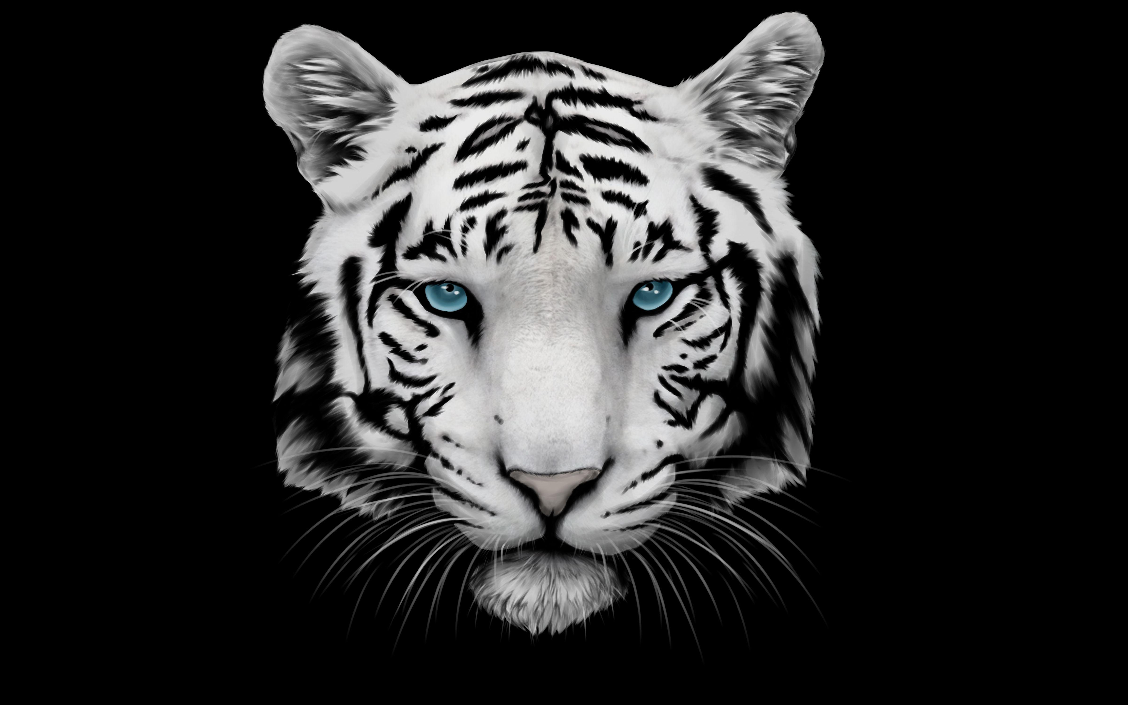 40+ Anime White Tiger Wallpapers