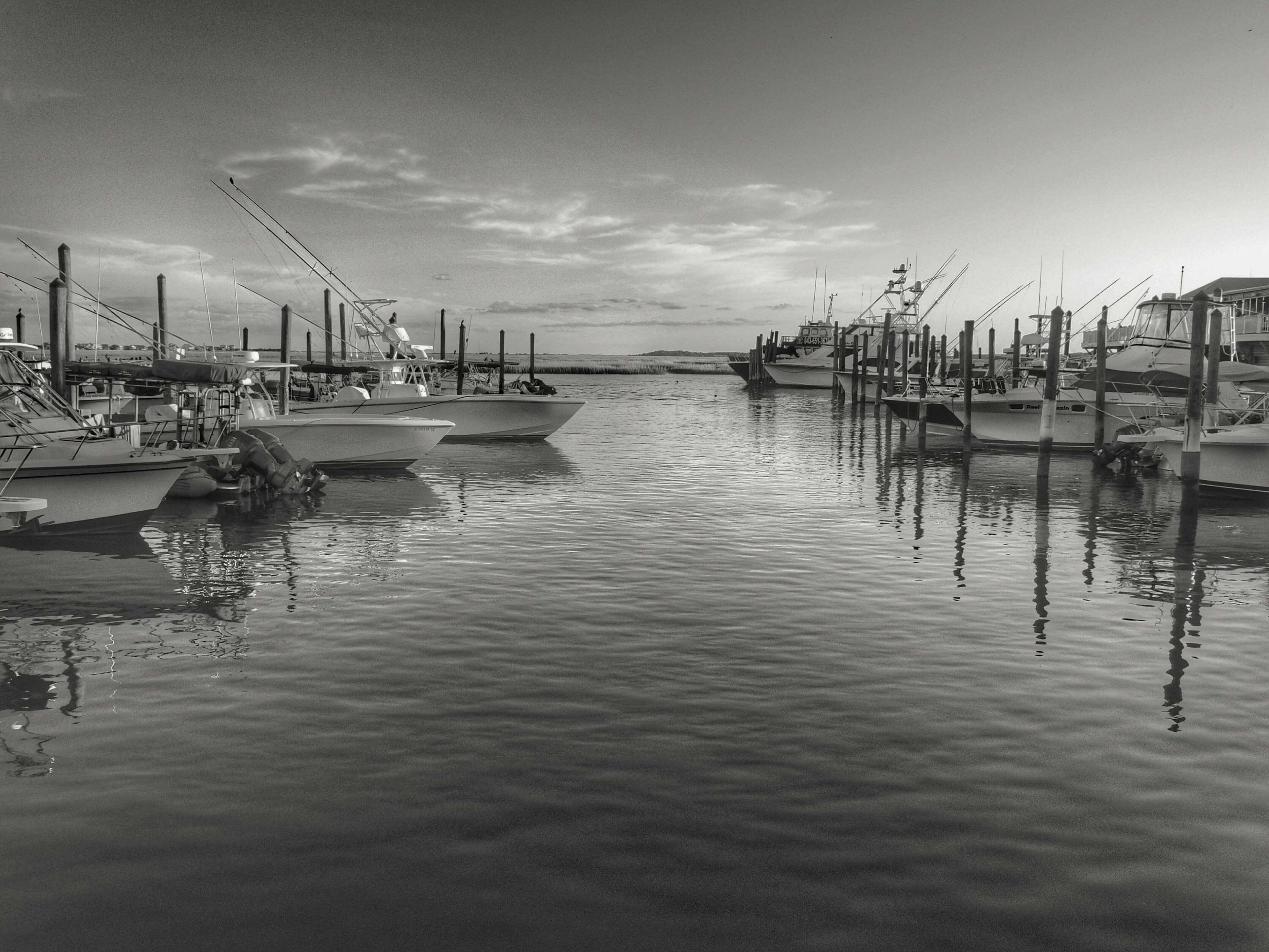 black and white, blackampwhite, black and white