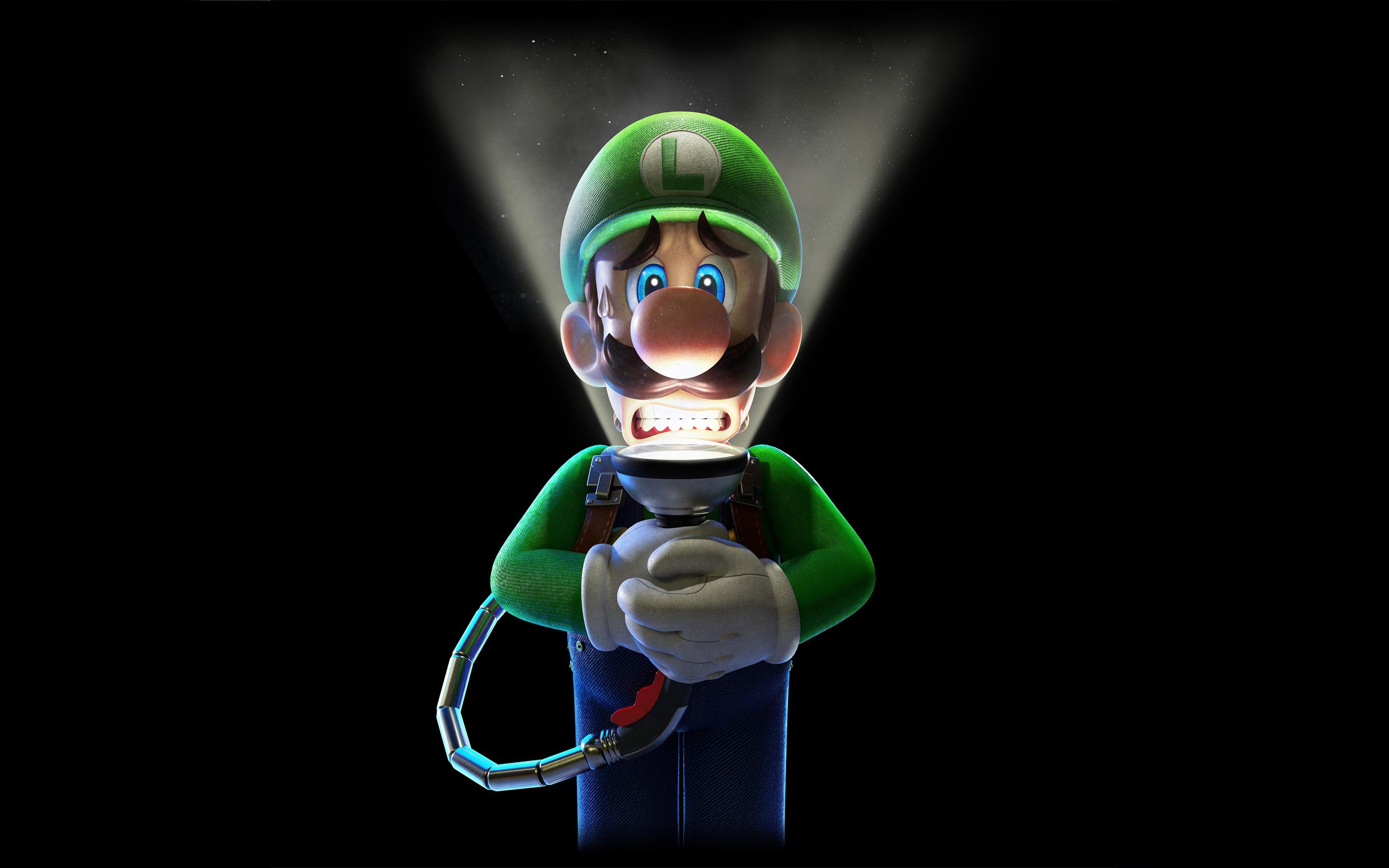 10+ Luigi's Mansion HD Wallpapers and Backgrounds