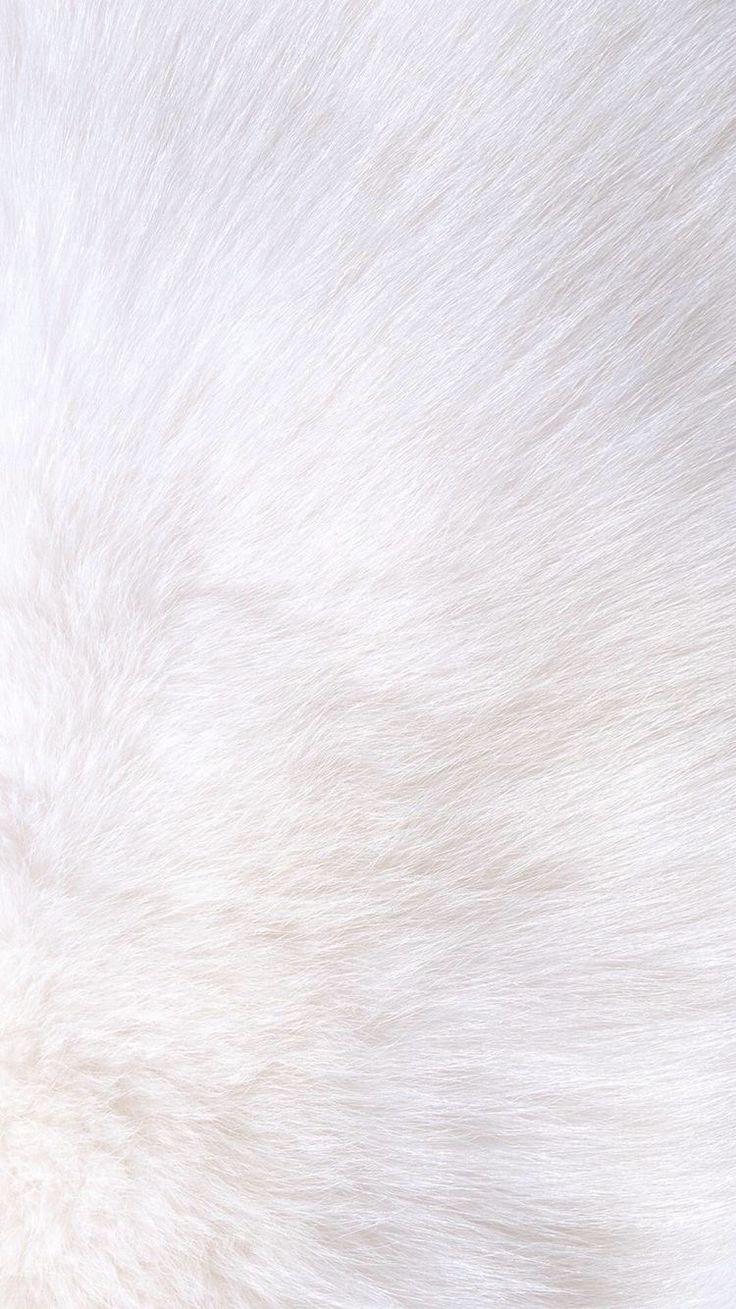 White fur background tumblr 6 Background Download