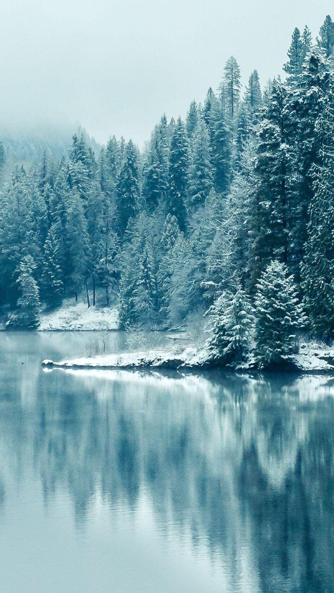 Turquoise Pine Forest Lake Snow. iPhone wallpaper winter, Winter