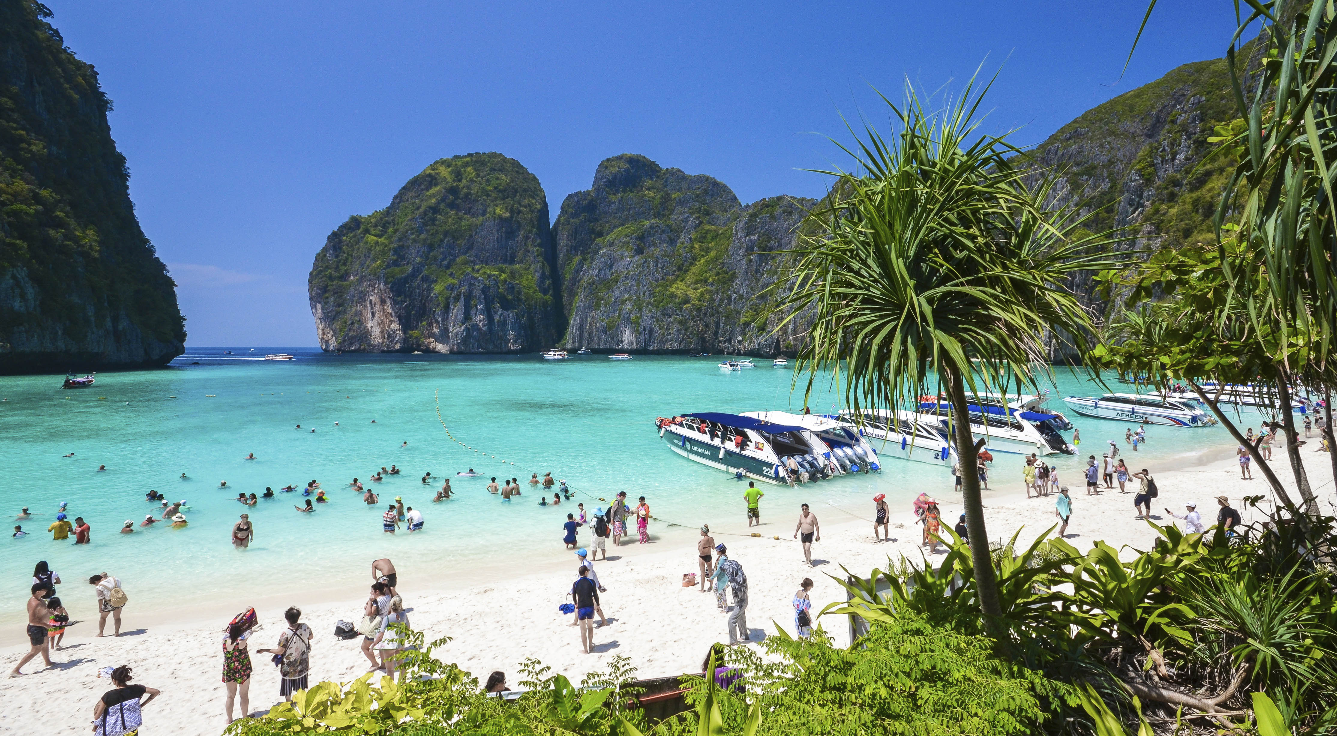 Boracay and Phi Phi islands to tell tourists not to come