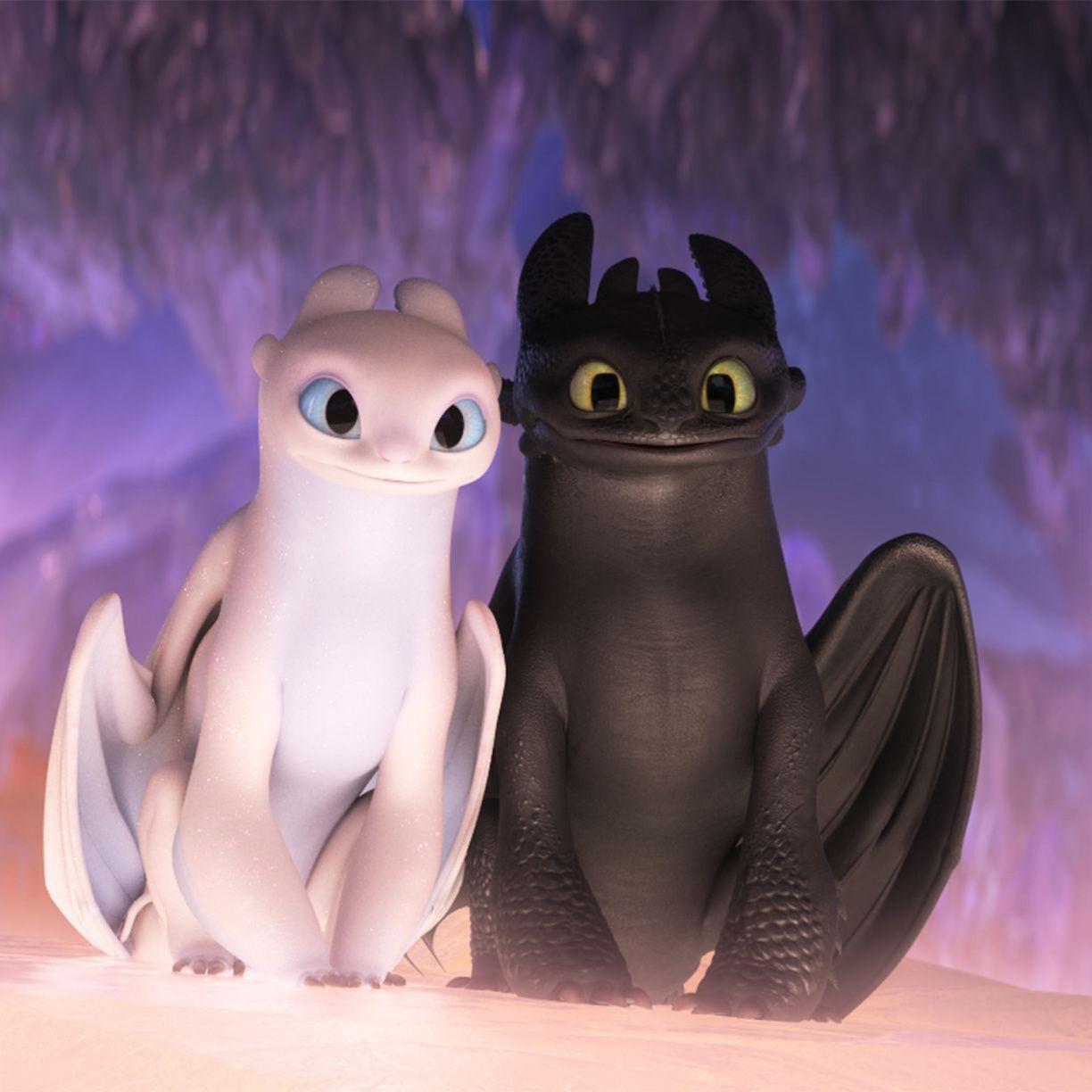 Dragon couple, How to Train Your Dragon, movie, 2019