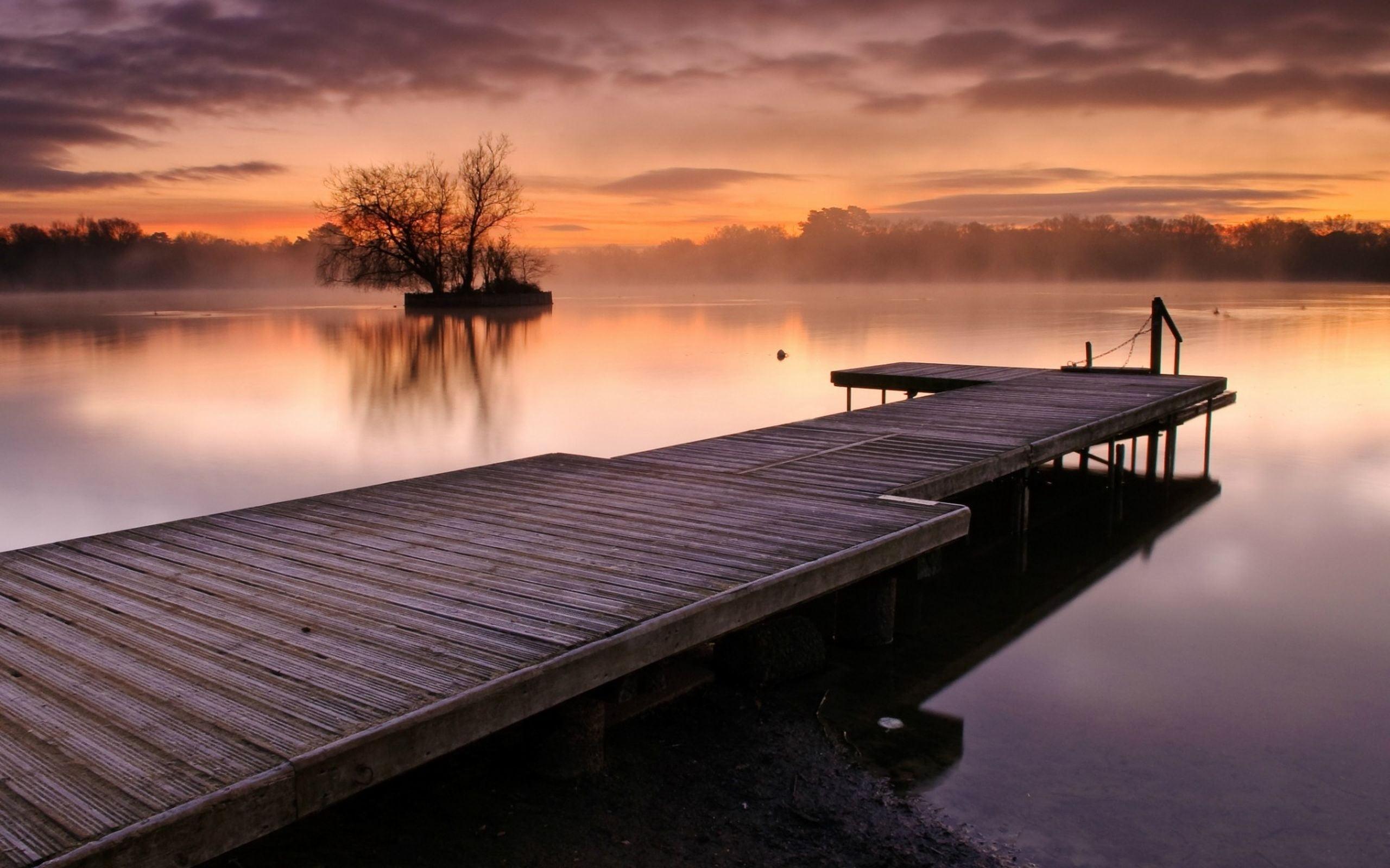 Brown dock on body of water HD wallpaper