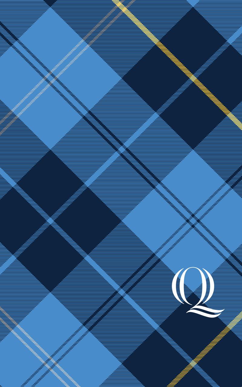 Android Q Wallpapers Wallpaper Cave