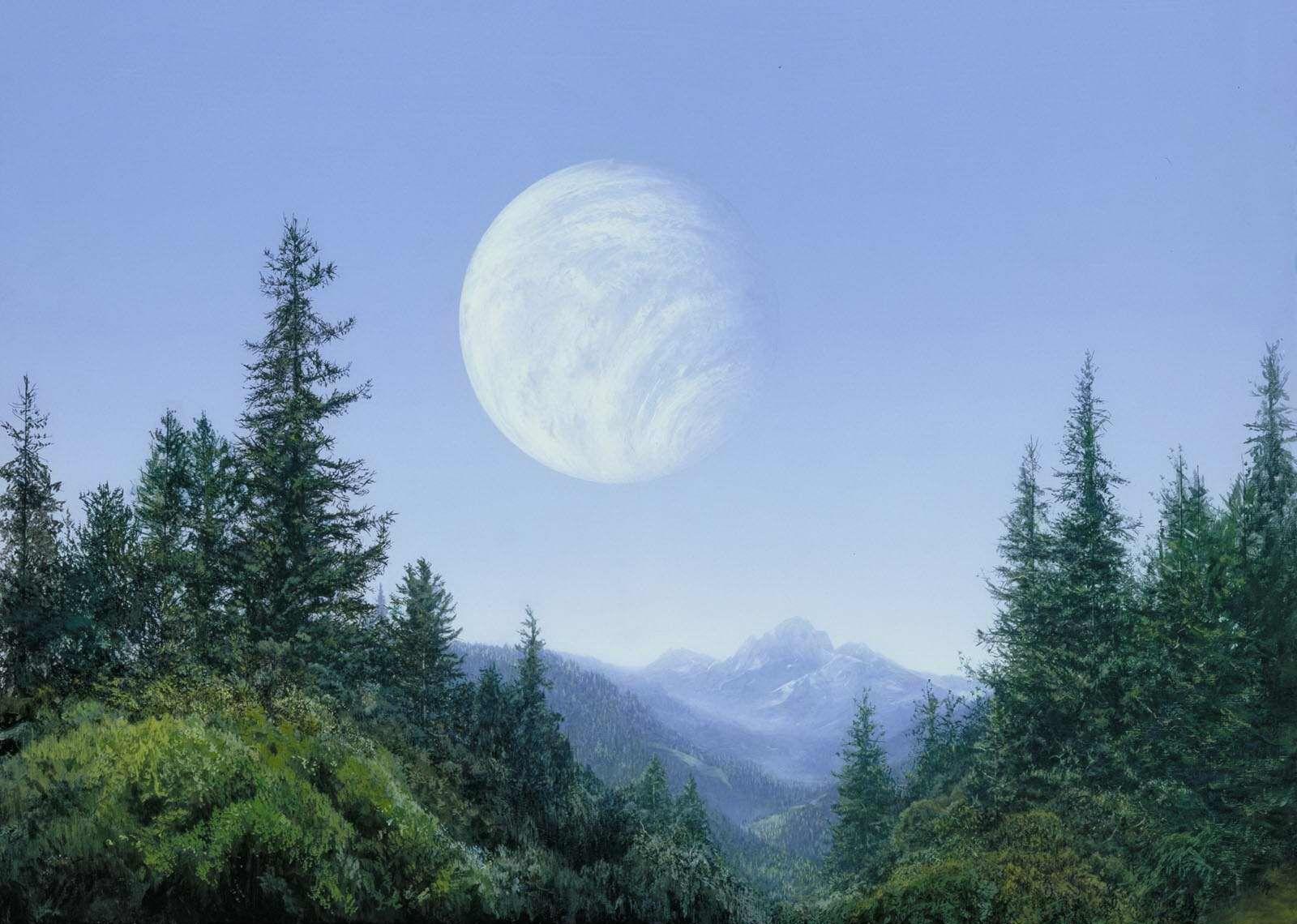 A landscape of the Forest Moon of Endor, as seen in Return