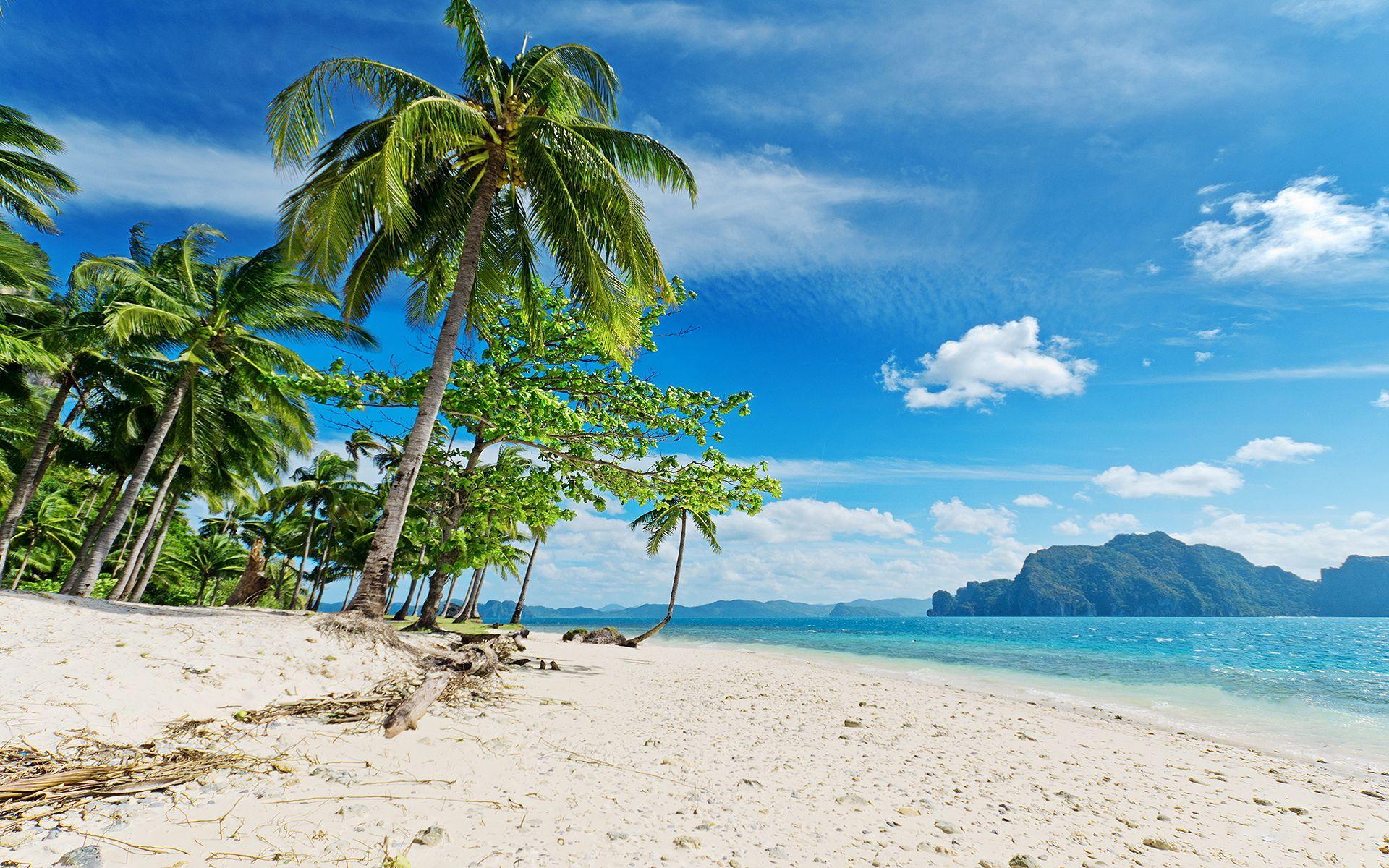 Travel 1. Beach wallpaper, Palm wallpaper, Beach photo