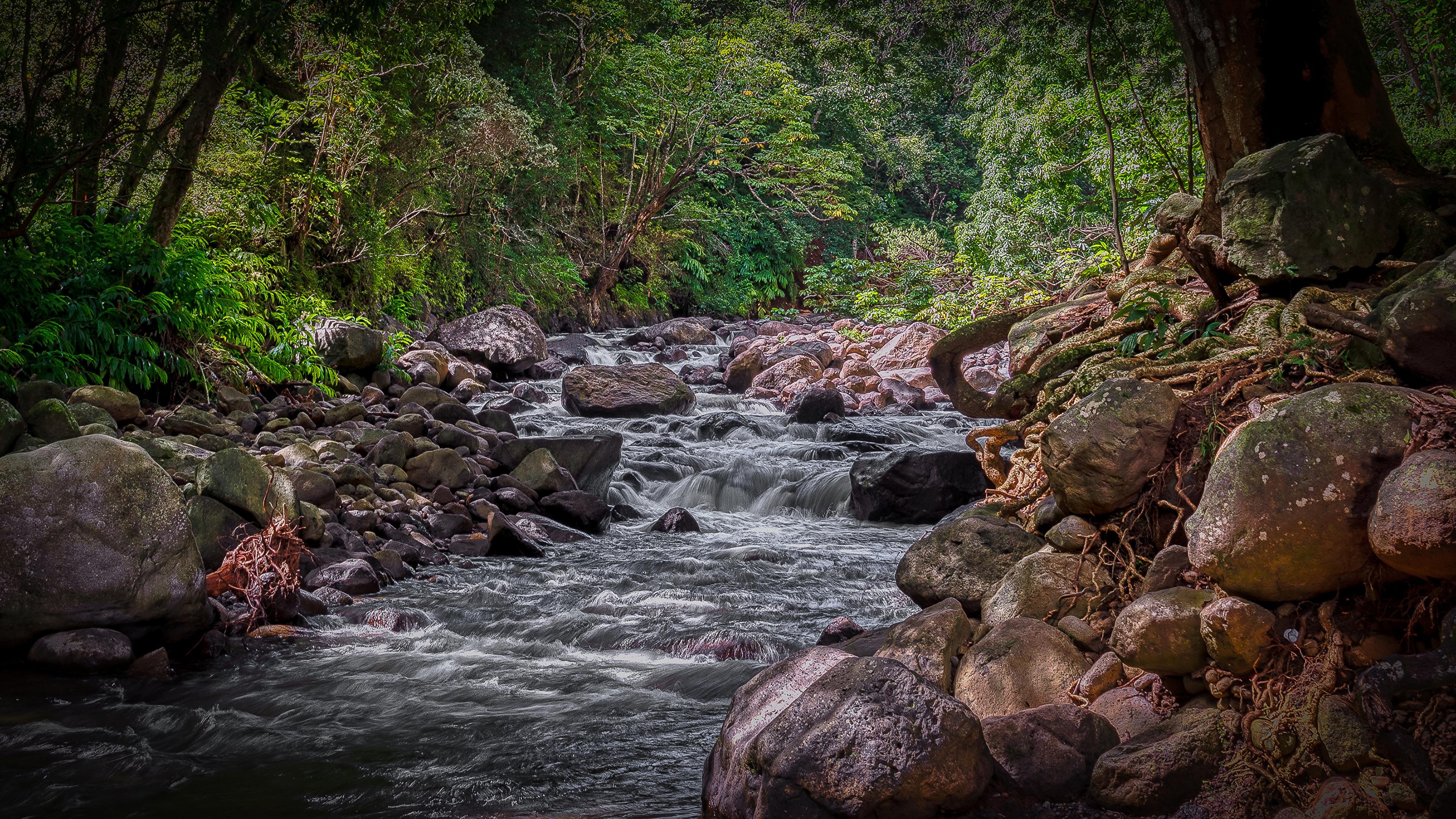 Picture Hawaii Iao Valley West Maui HDRI brook Nature 3840x2160