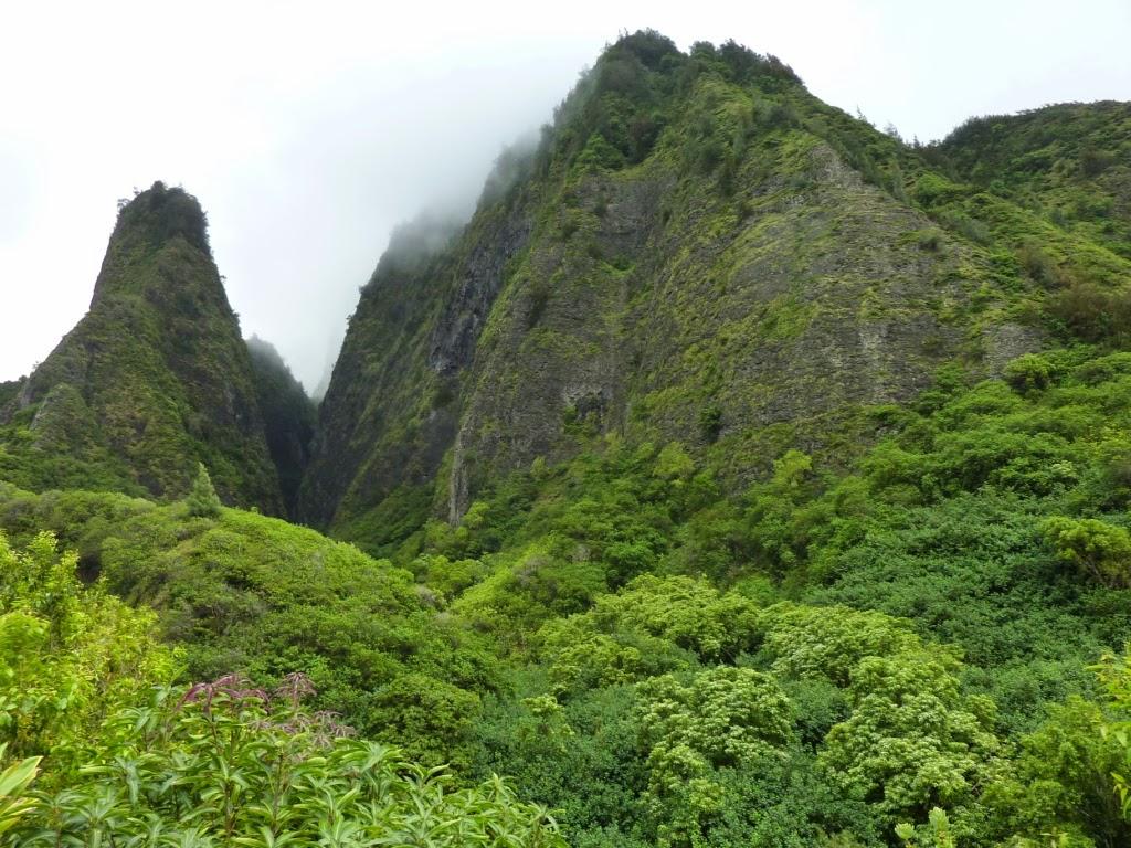 Observations of the Practical Kind: Maui: Iao Valley State