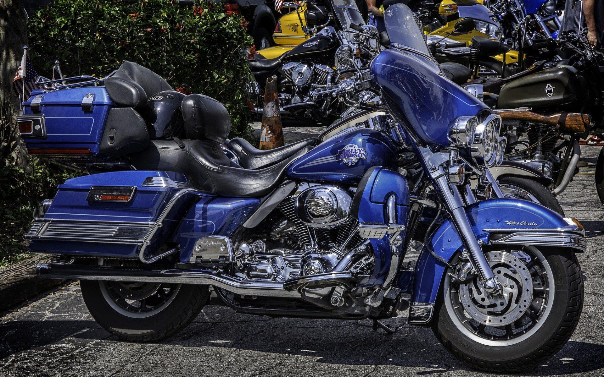 Download wallpaper Harley Davidson, blue motorcycle, new
