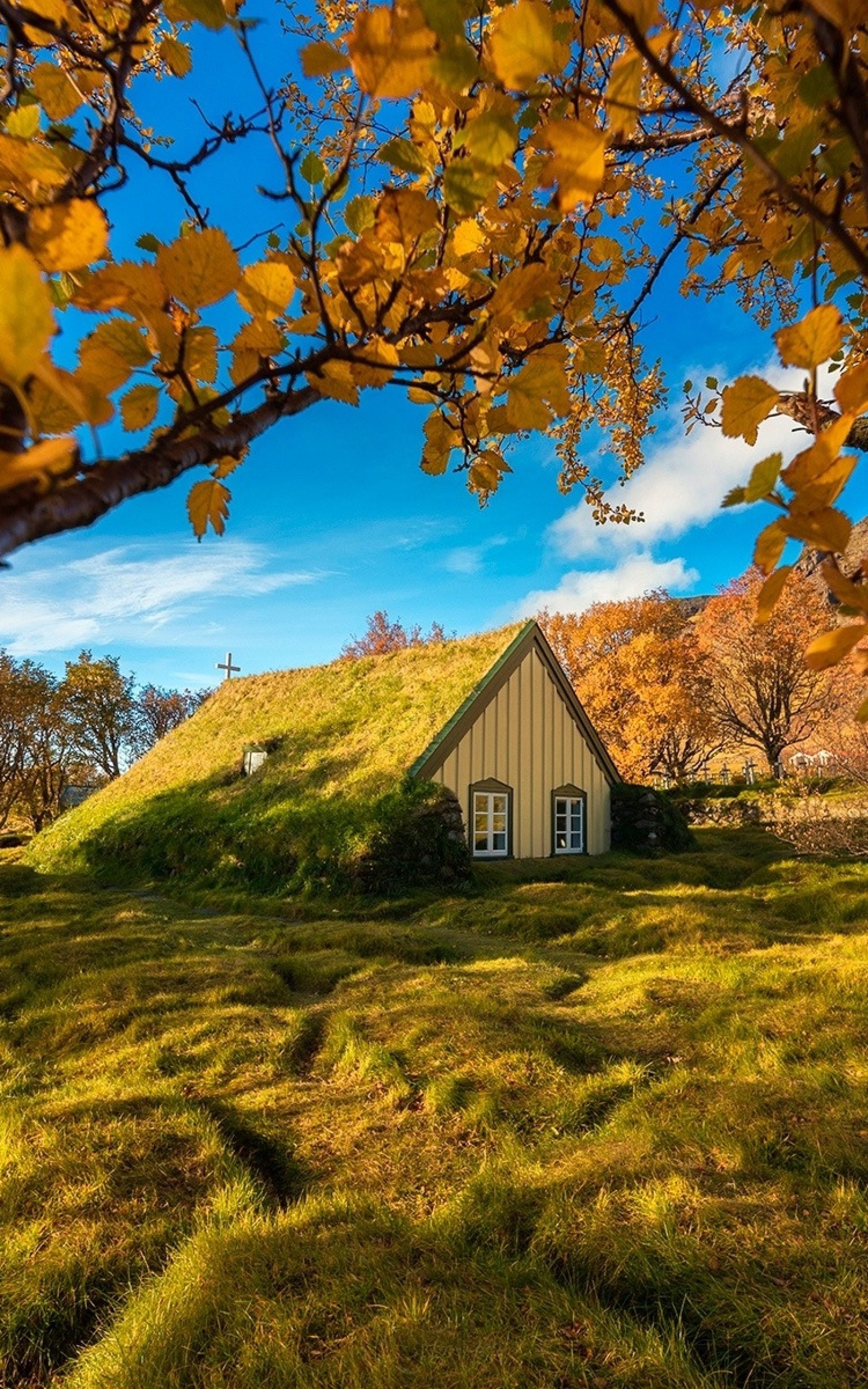 Download 1600x2560 Iceland, Church, Autumn, Fall, Leaves