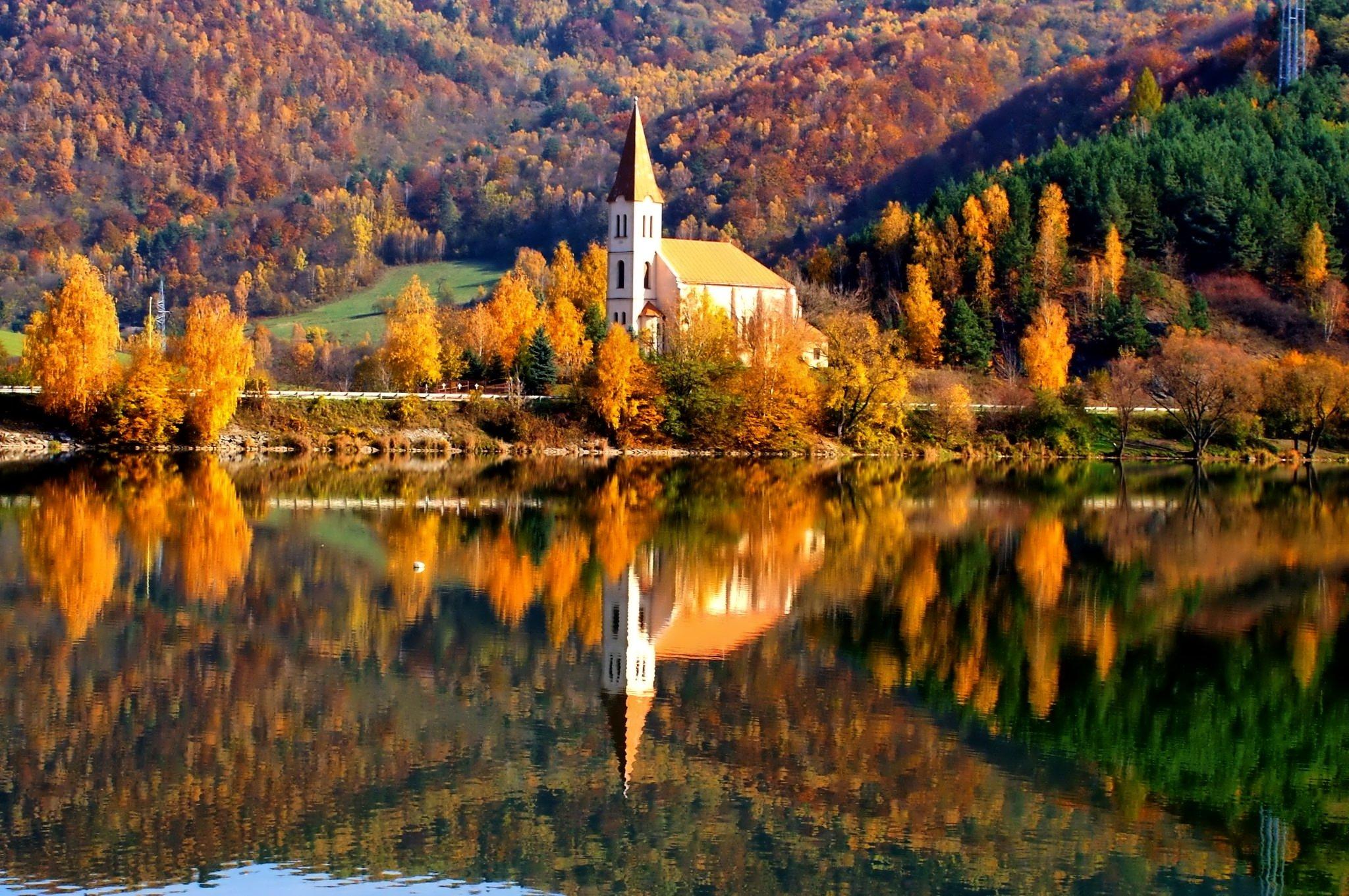 AUTUMN fall landscape nature tree forest leaf leaves path