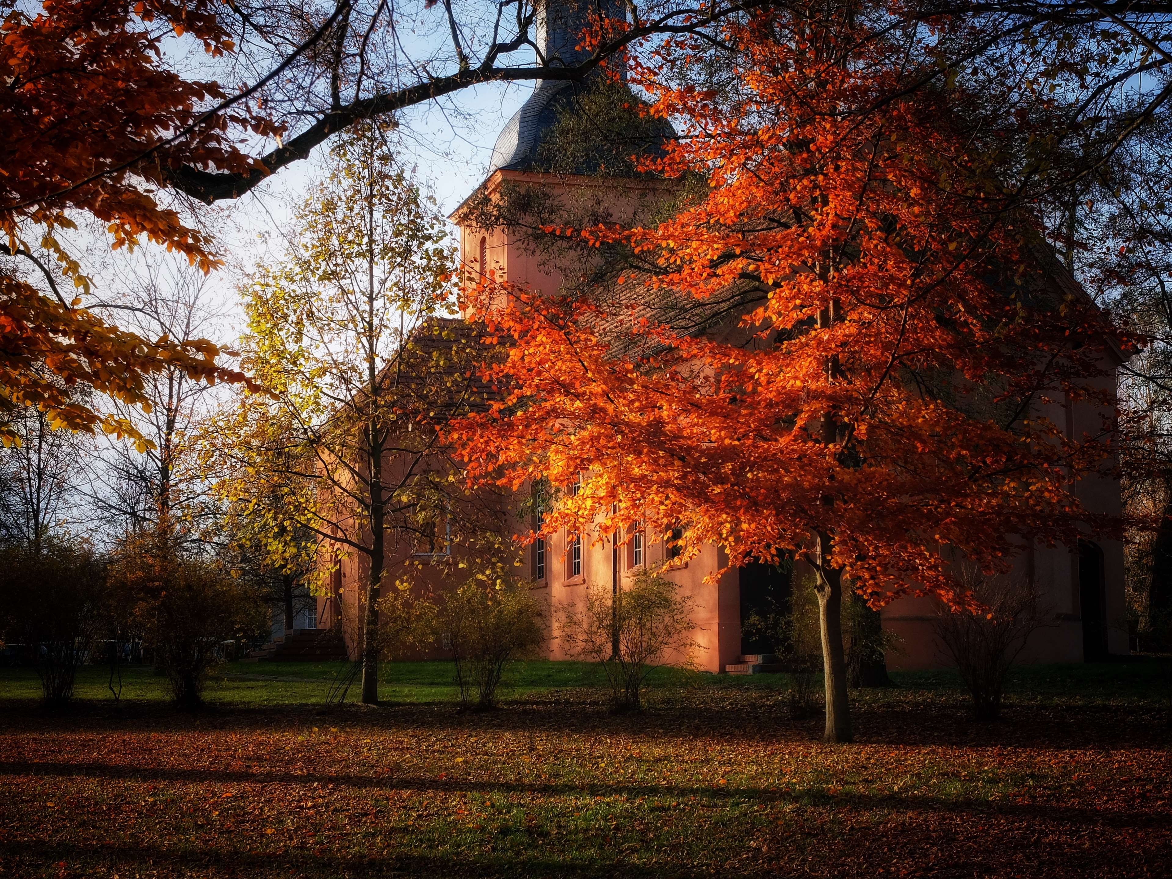 autumn, building, church, fall, leaves, maple