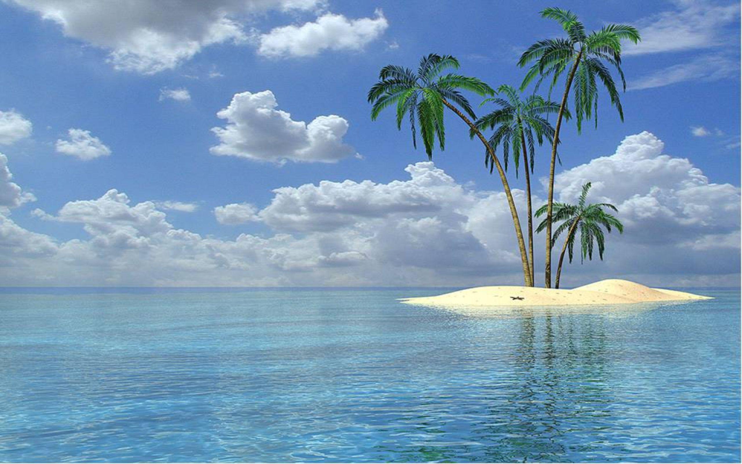 Island nature wallpaper HD HD Wallpaper. Palm trees