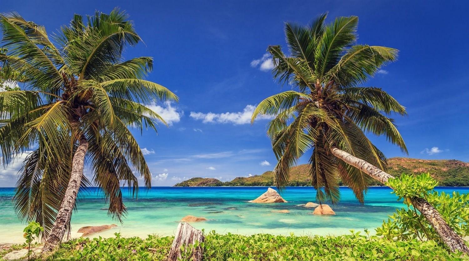 Nature Landscape Tropical Beach Island Palm Trees Sea