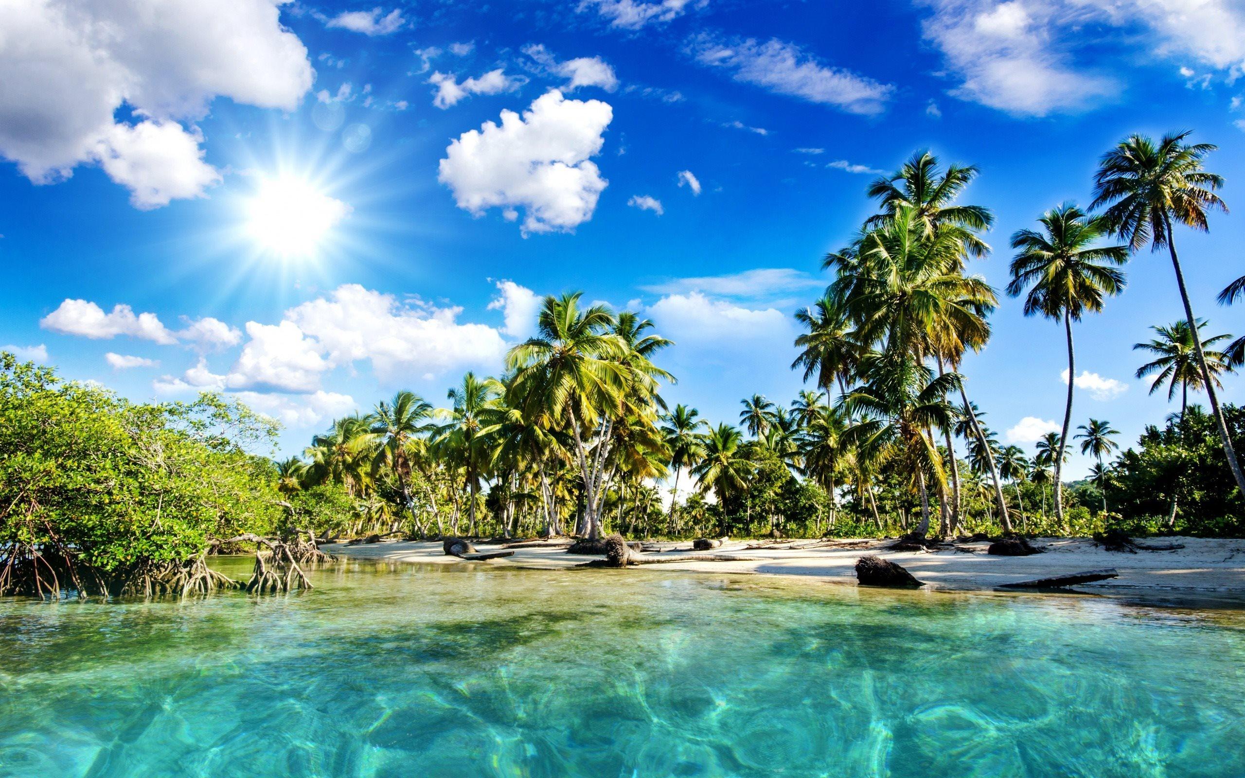 Download wallpaper tropical island, the ocean, palm trees