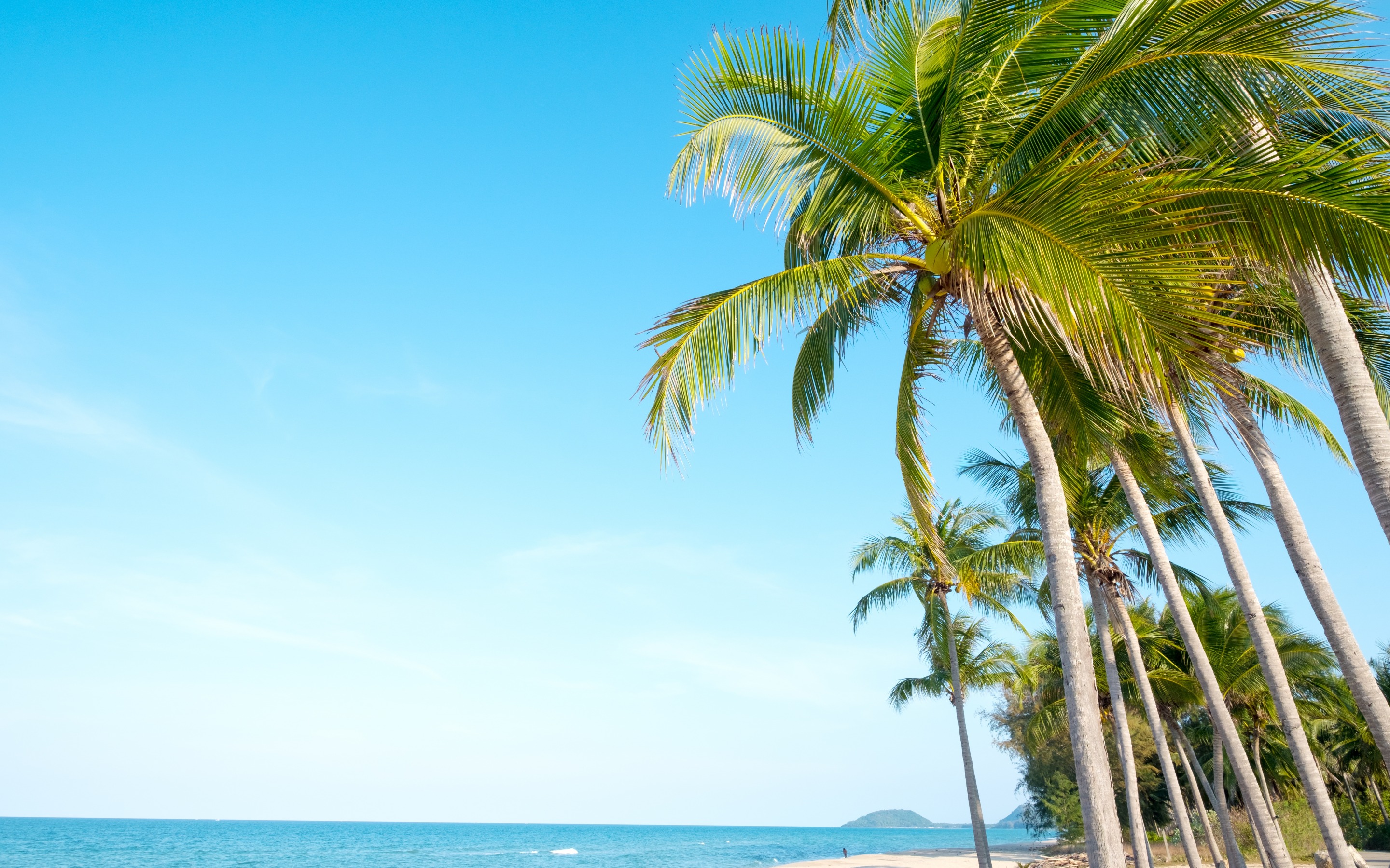 Download wallpaper palms, summer, tropical island, travel