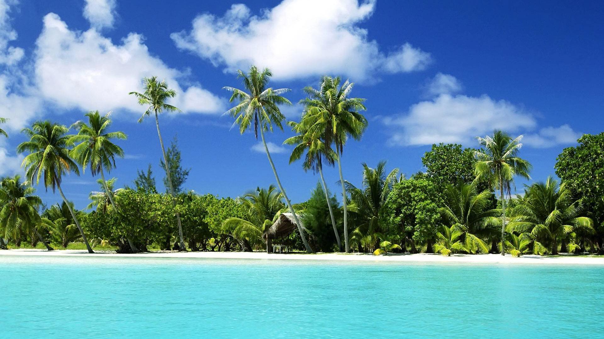 Tropical Island Beach Landscape Wallpaper at