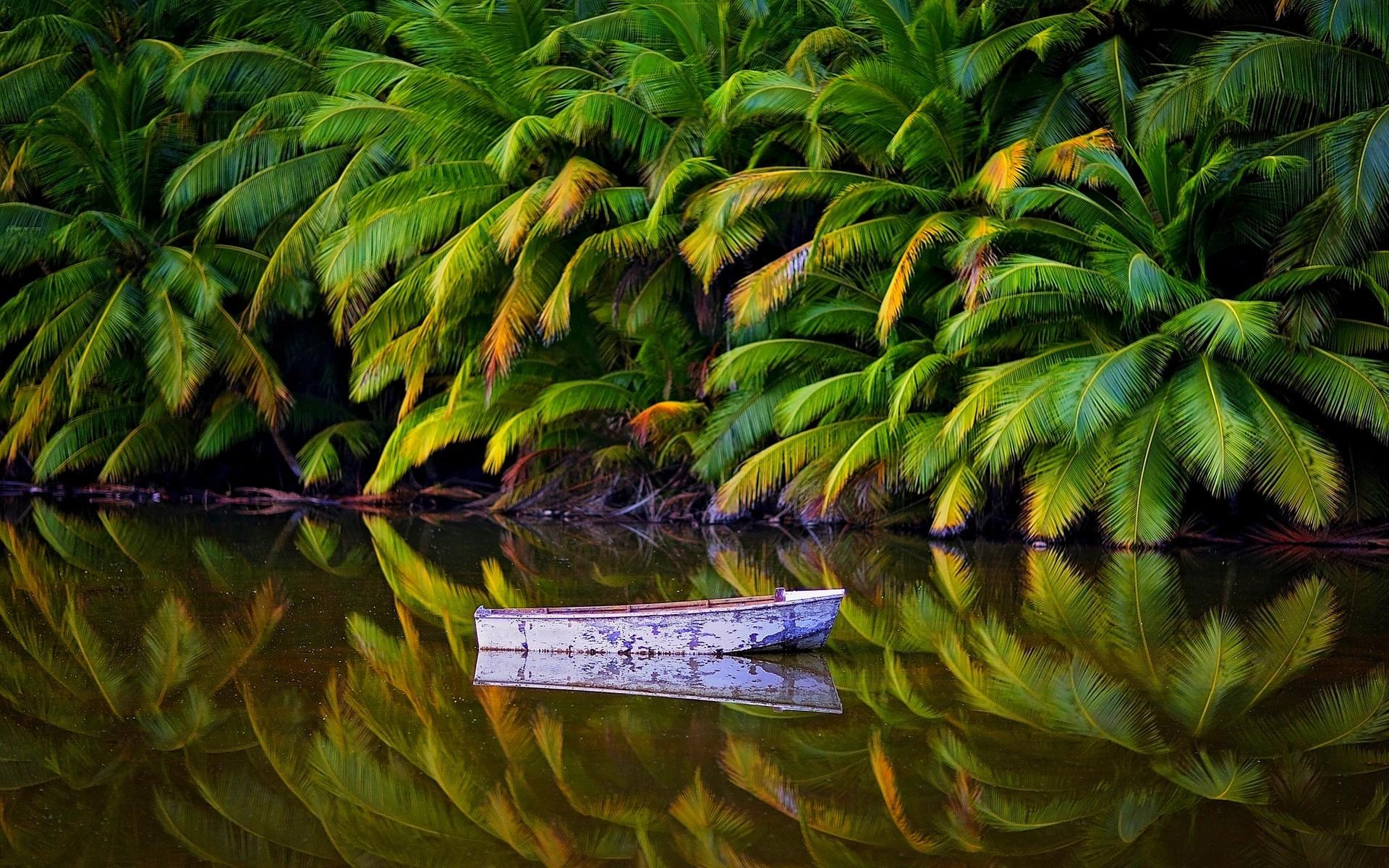 nature, Landscape, Palm Trees, Jungles, Lake, Boat