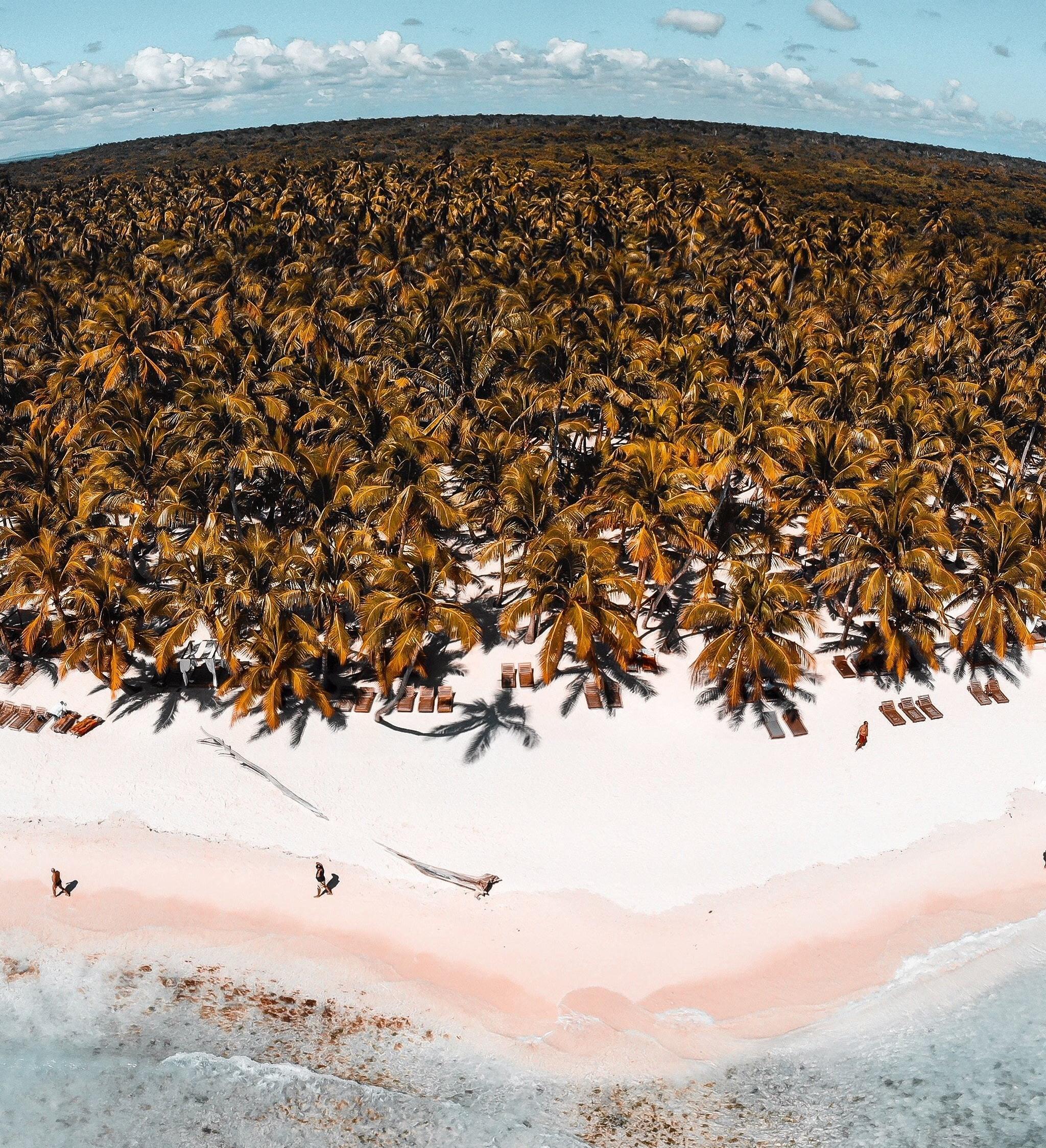 Palm Trees Tropical Island Wallpapers - Wallpaper Cave