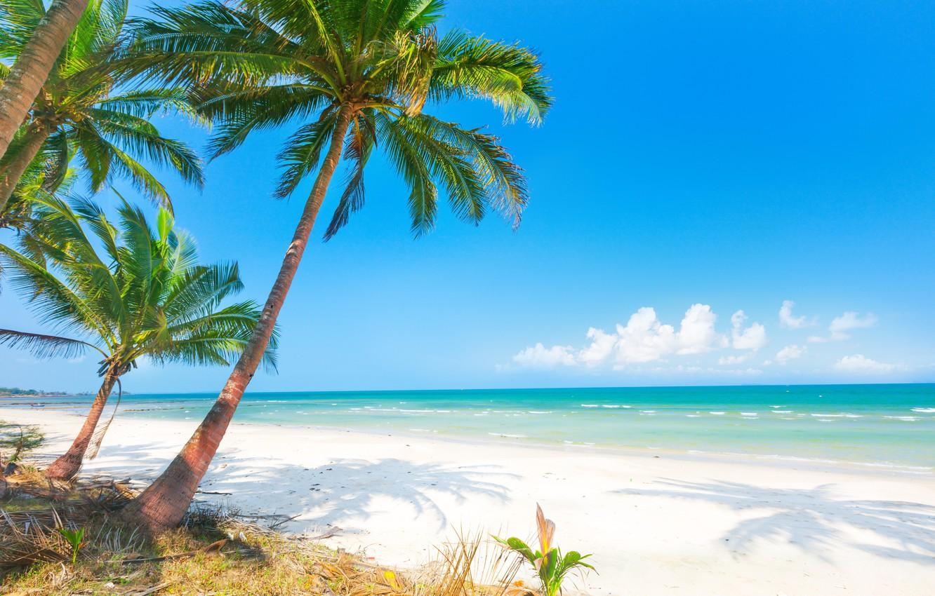 Wallpaper sand, sea, beach, the sun, palm trees, shore, summer, beach, sea, island, sand, paradise, palms, tropical image for desktop, section природа