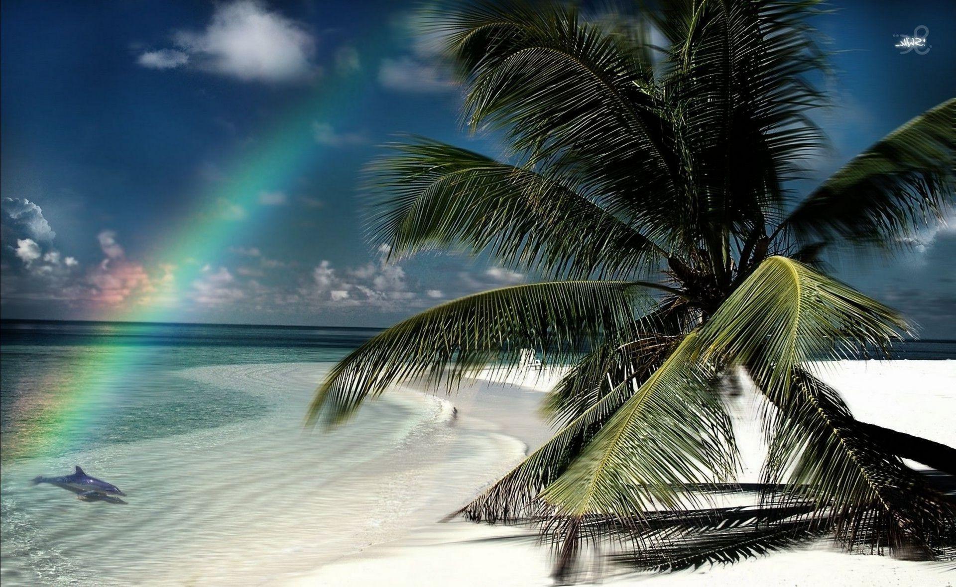 Rainbow tropical island beach palm trees