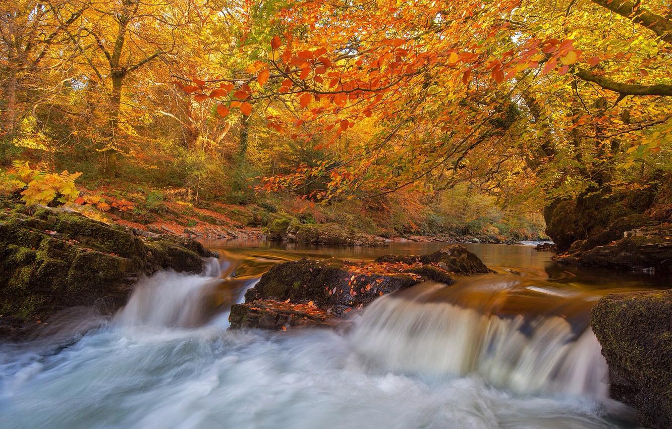 Wallpaper autumn, forest, trees, river, England, waterfall