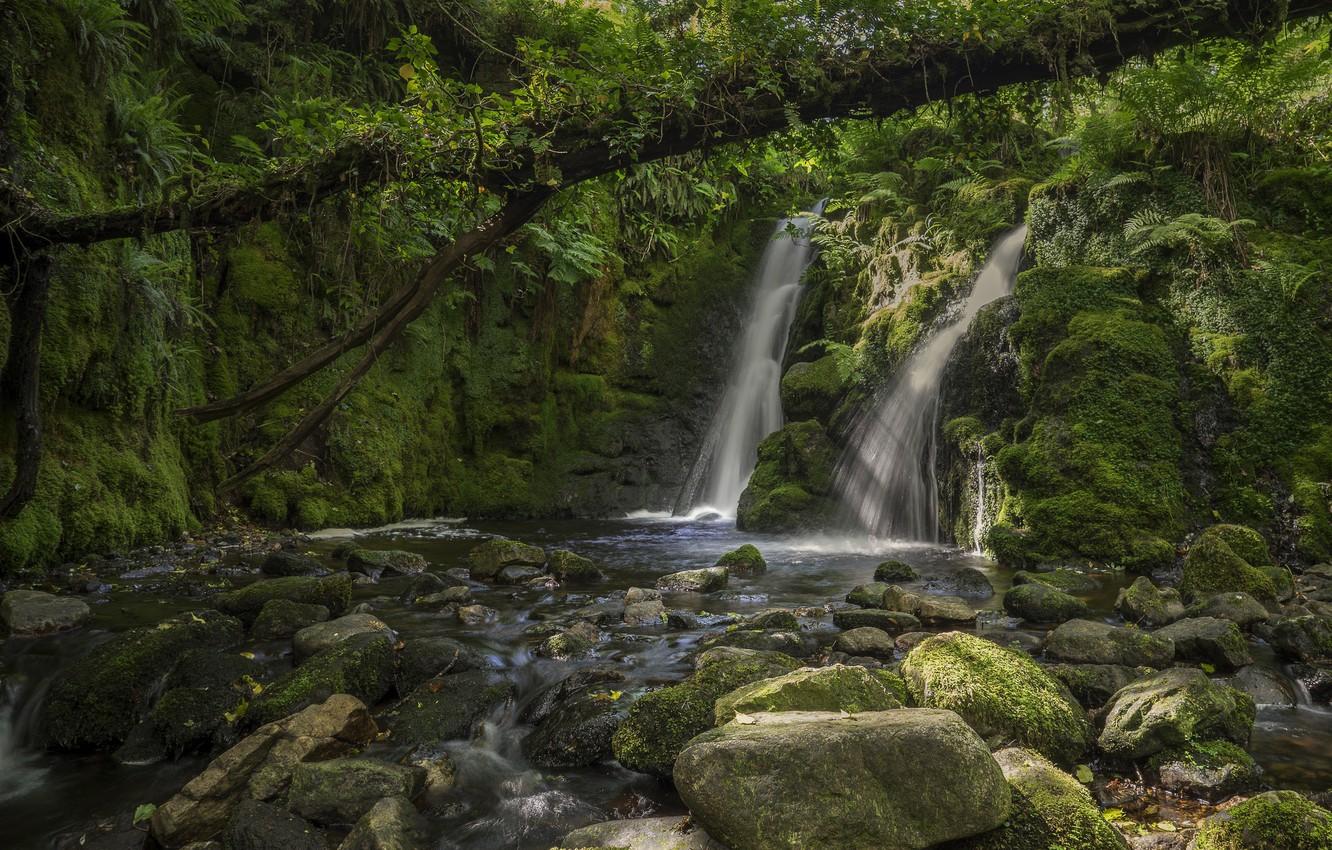Wallpaper forest, river, stones, tree, England, waterfall