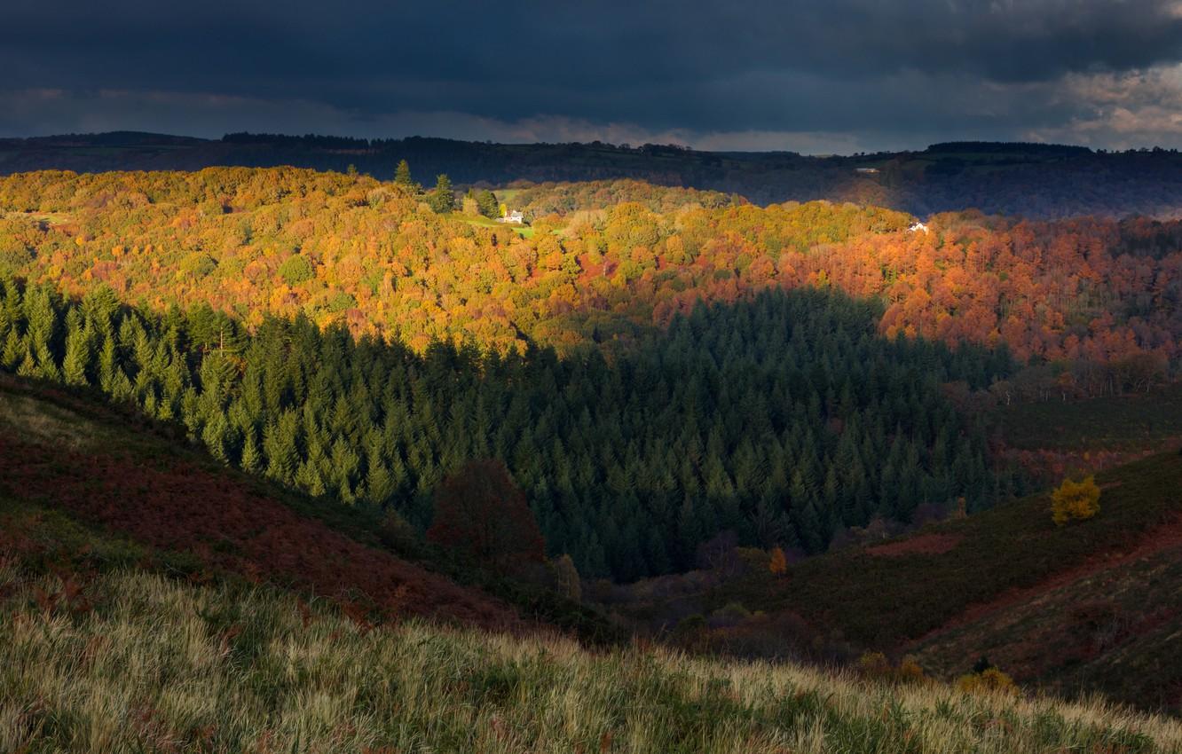 Wallpaper autumn, forest, the sky, trees, clouds, hills