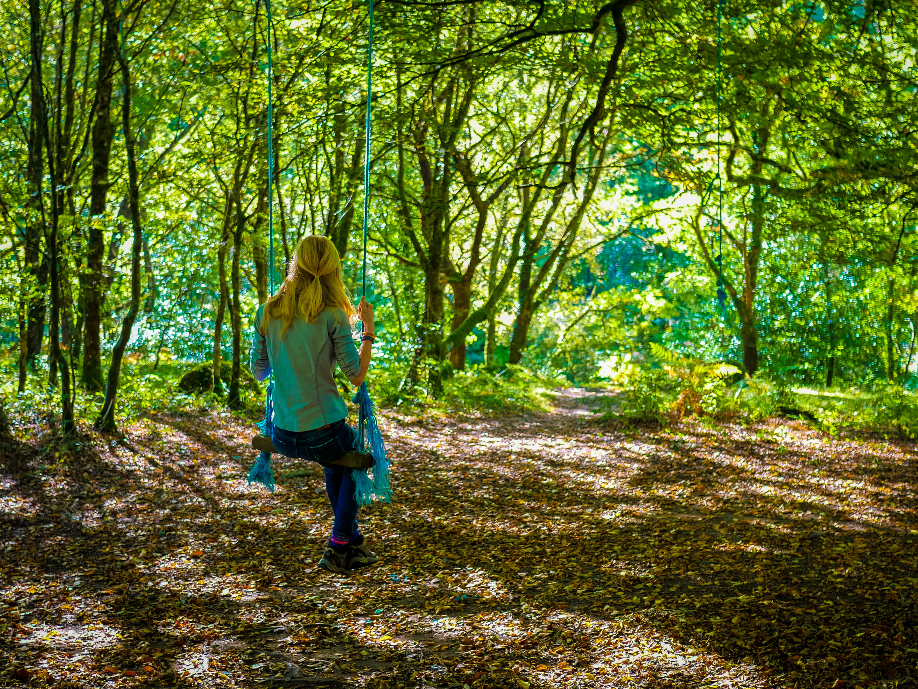 Dartmoor Walking Ancient Woodland is our Natural Home
