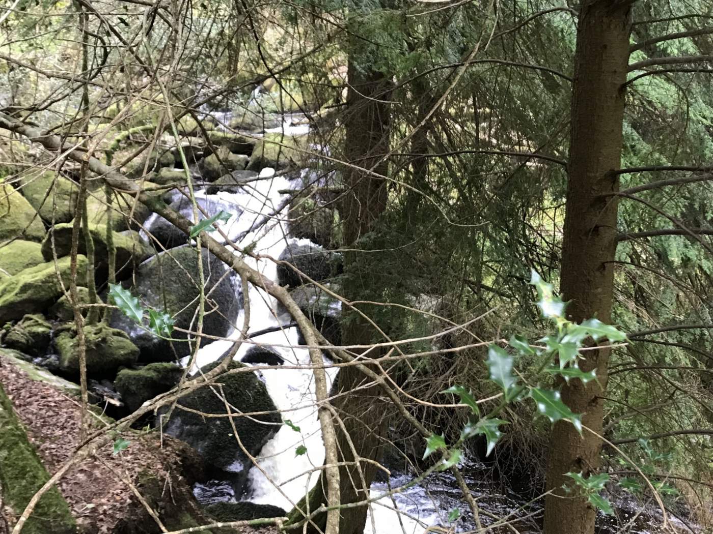 Becky Falls, Dartmoor National Park, Devon