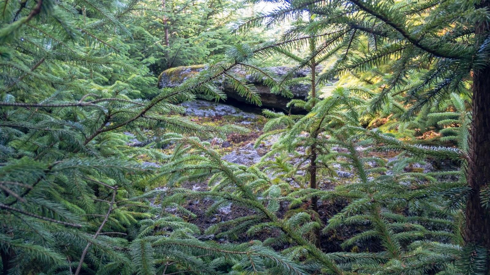 Tor Bagger: Dartmoor: Finding the elusive Lowton Borough Rocks