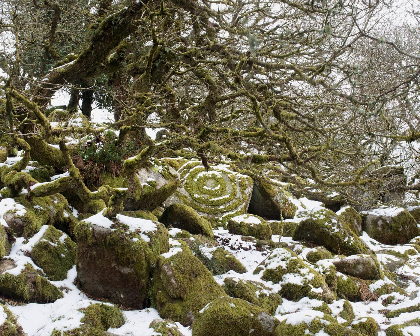 Robert Darch's dystopian vision of Dartmoor: in picture