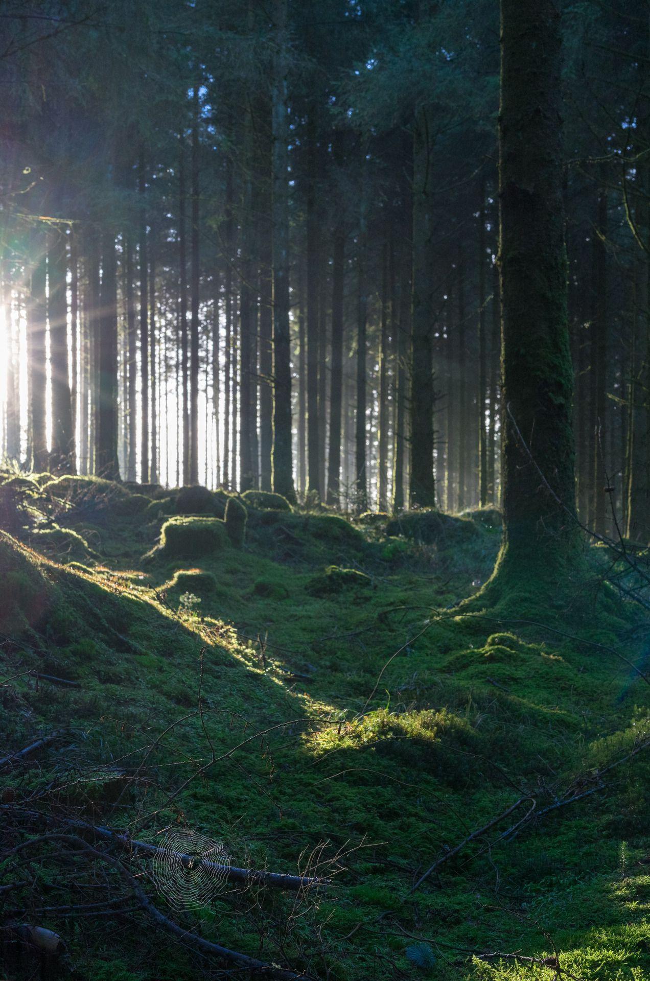 stephenearp: “Catch light ”. Places to visit in 2019