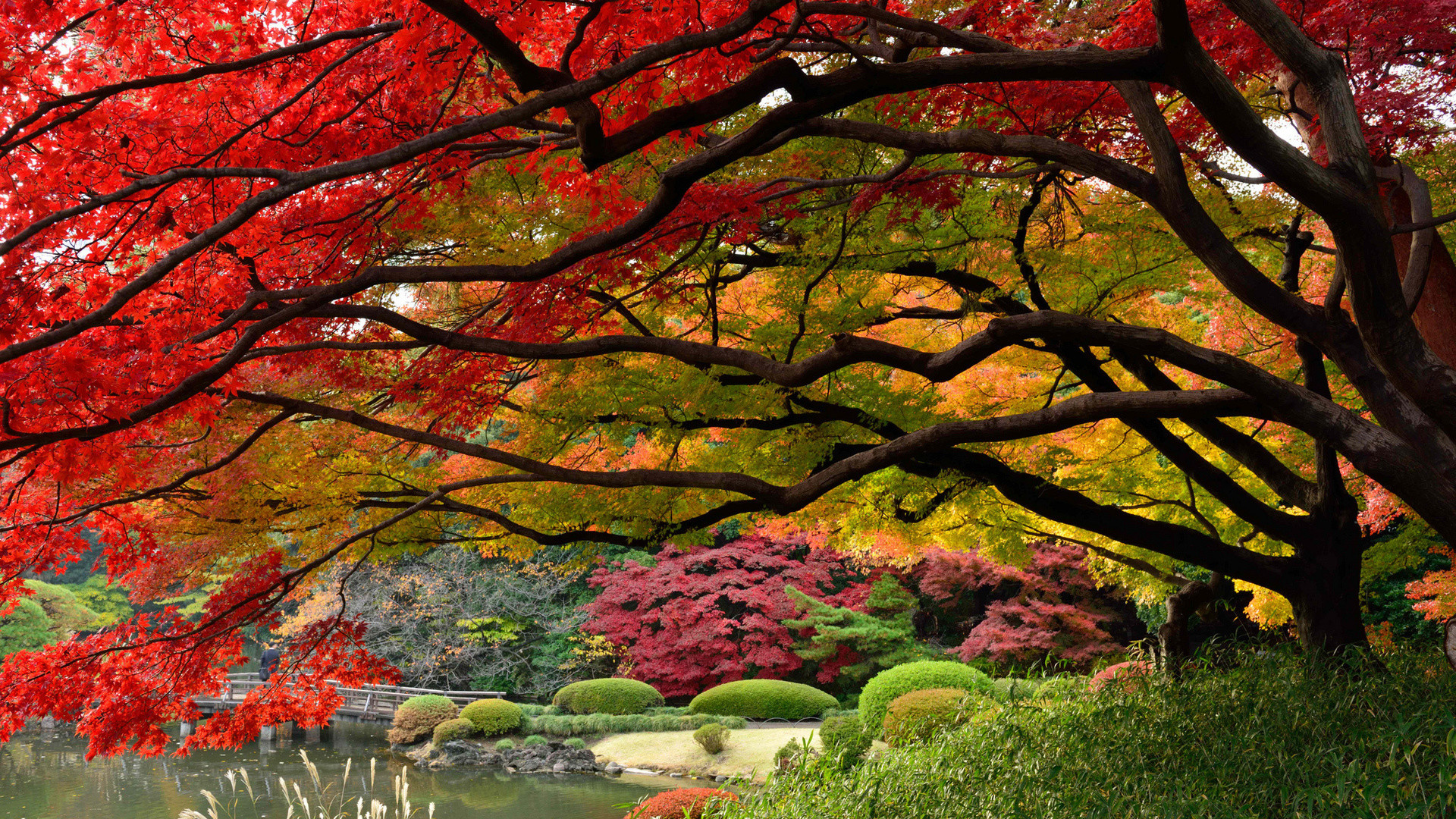 Zen garden 1080P, 2K, 4K, 5K HD wallpapers free download | Wallpaper Flare