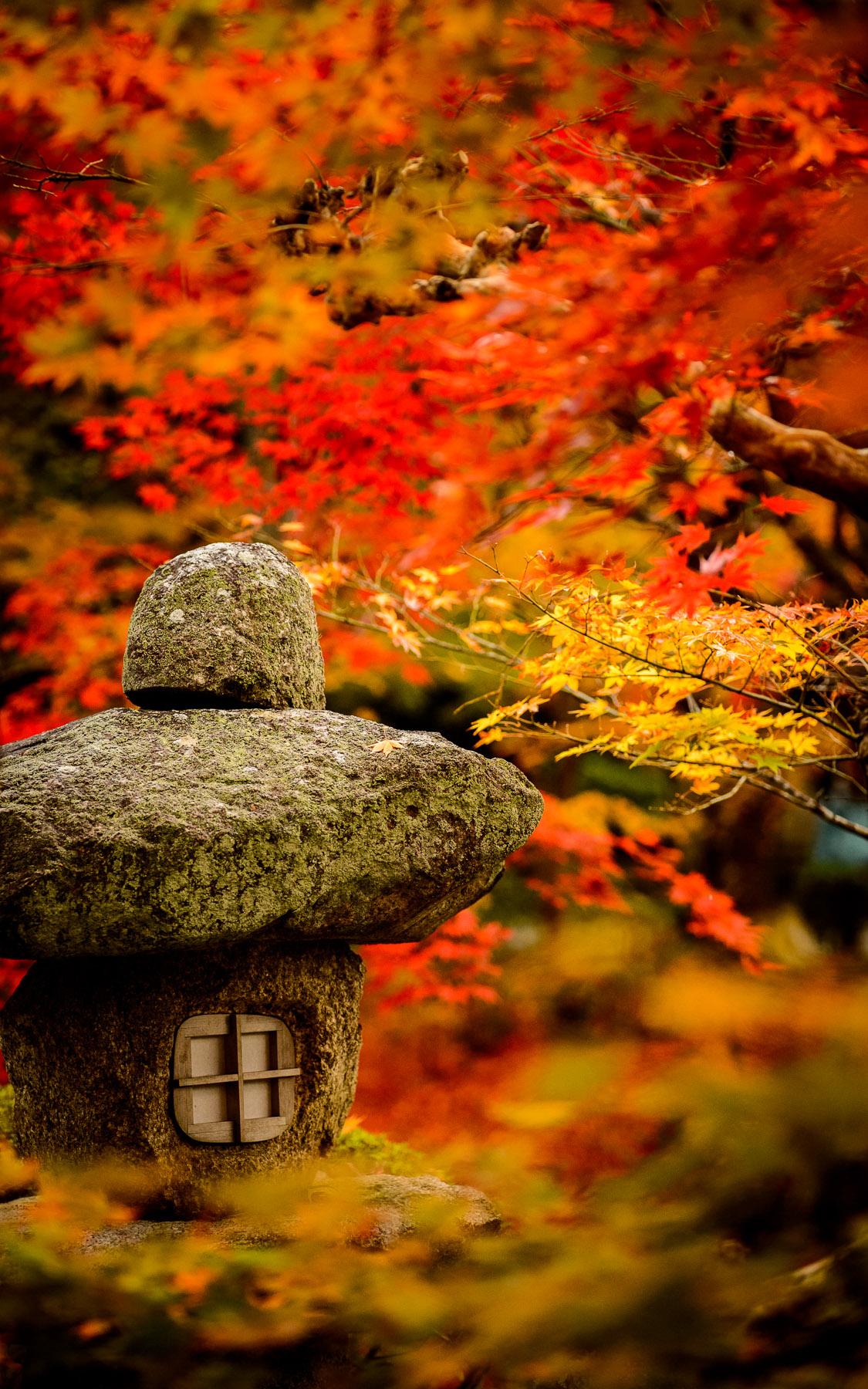 Jeffrey Friedl's Blog More Japanese Garden Desktop Background From Kyoto's Enkoji Temple