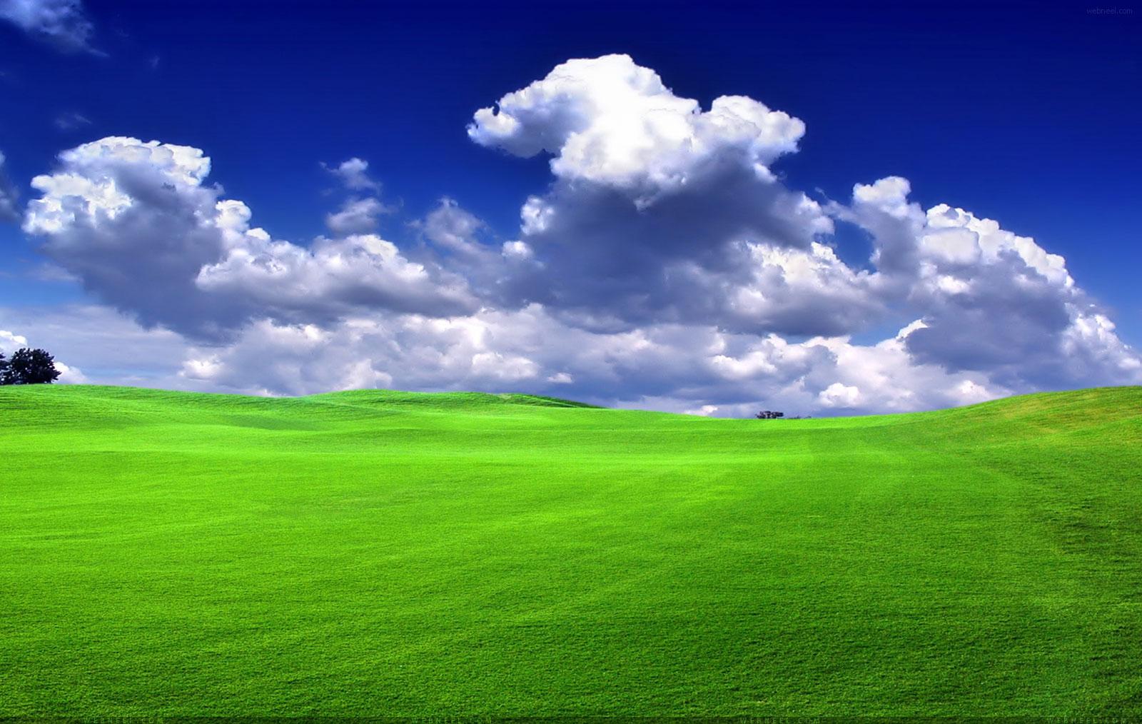 Beautiful Nature Wallpaper for your Desktop Mobile and Tablet