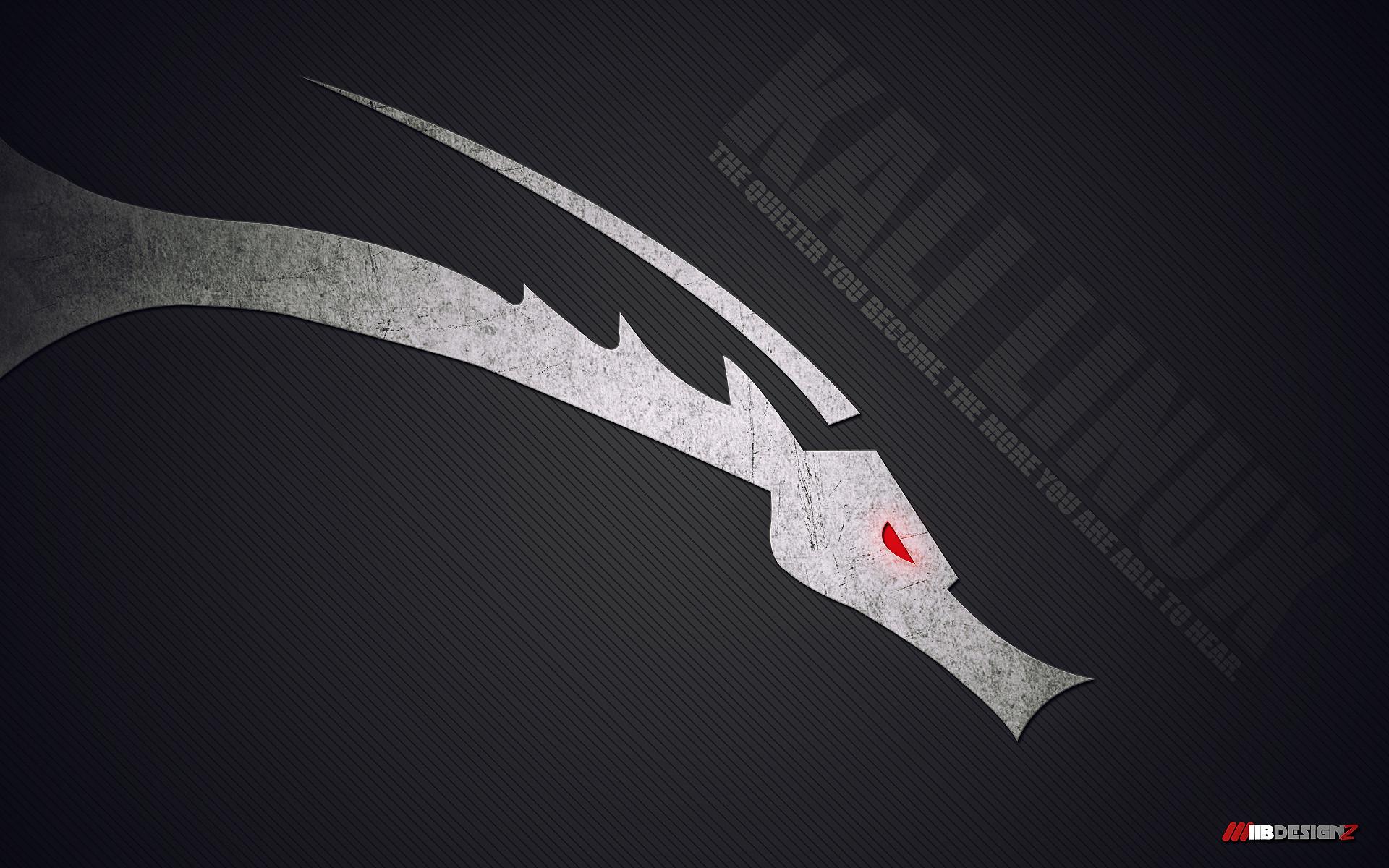 Kali Linux Wallpaper HD