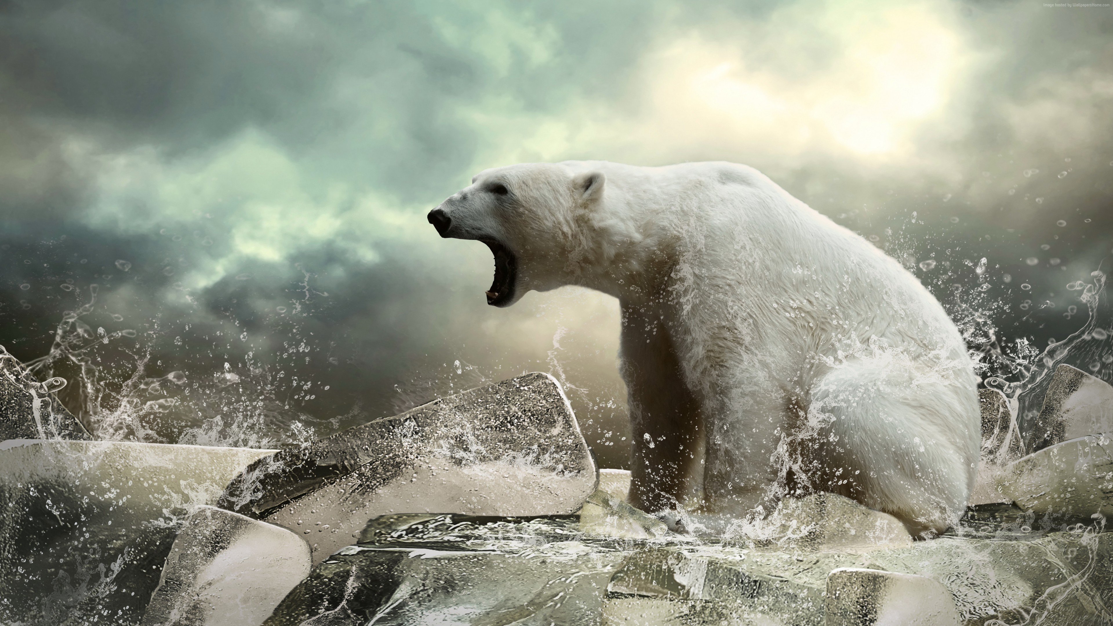 Wallpaper Polar bear, ice, roar, ocean, Animals Wallpaper